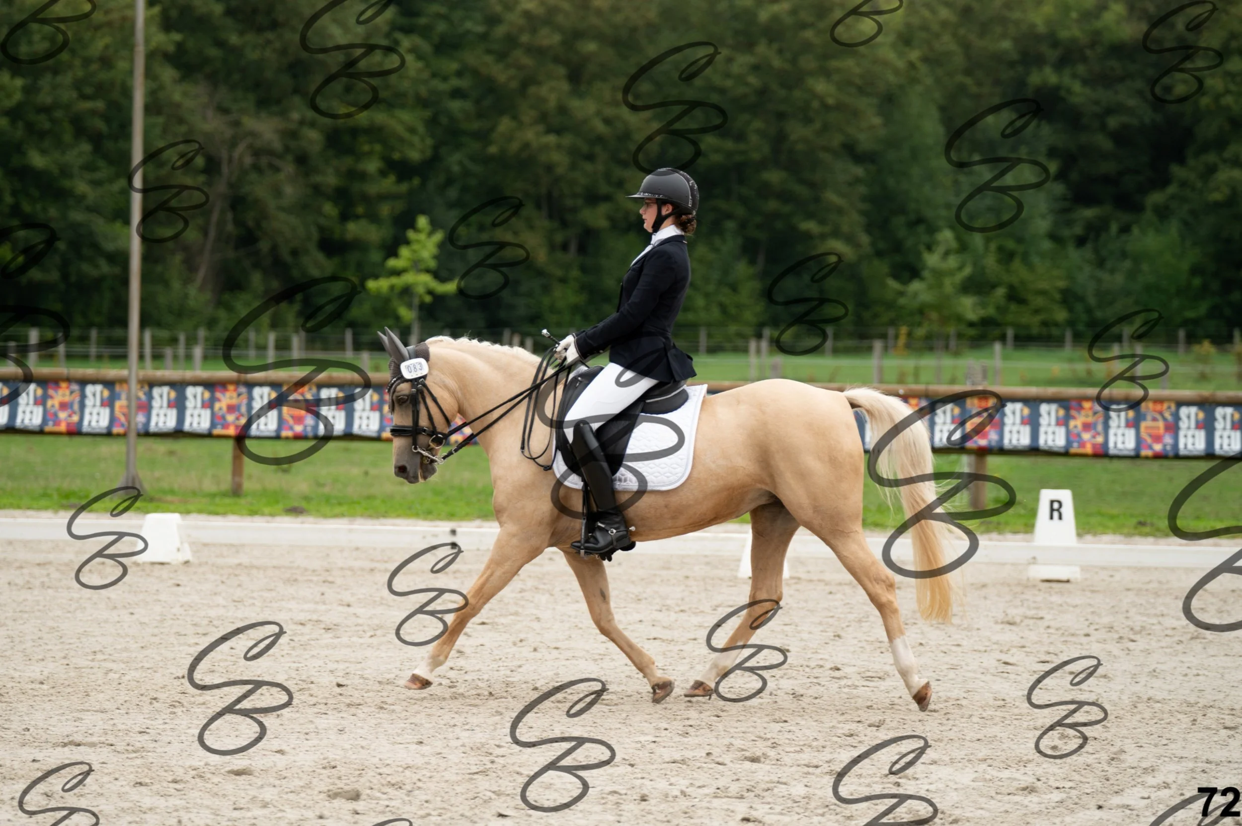 2026.09.13 - Alyssia-72.jpg