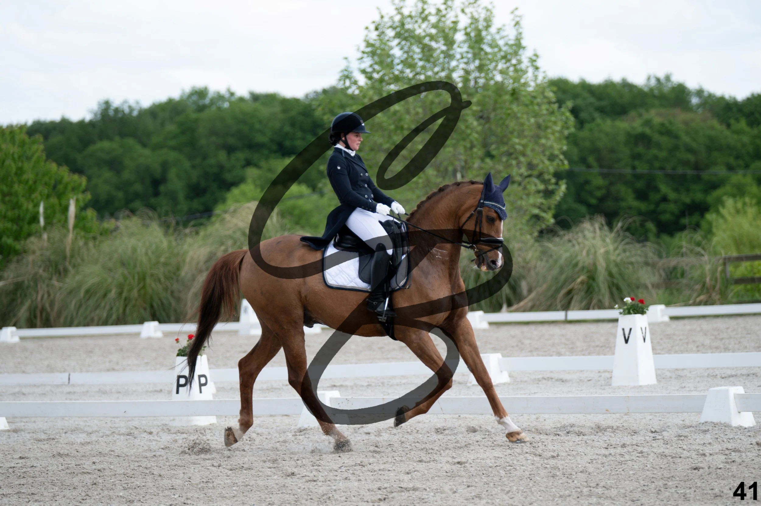 2026.05.02 - Djessy-24.jpg