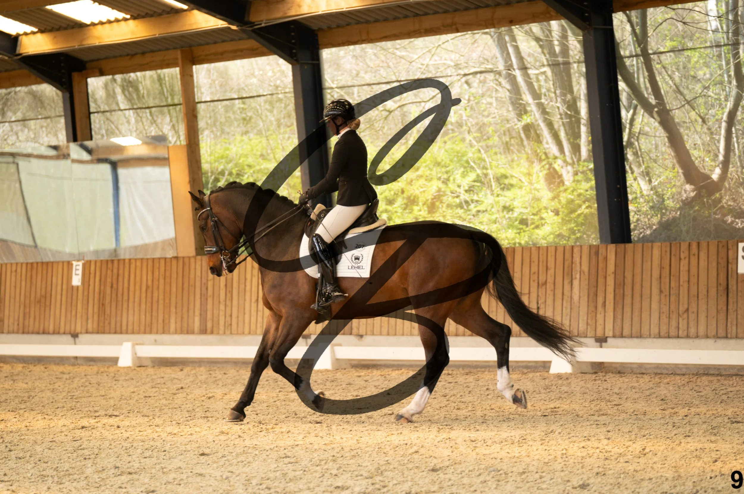 2026.03.22 - Grade 5 - grand prix test A-9.jpg