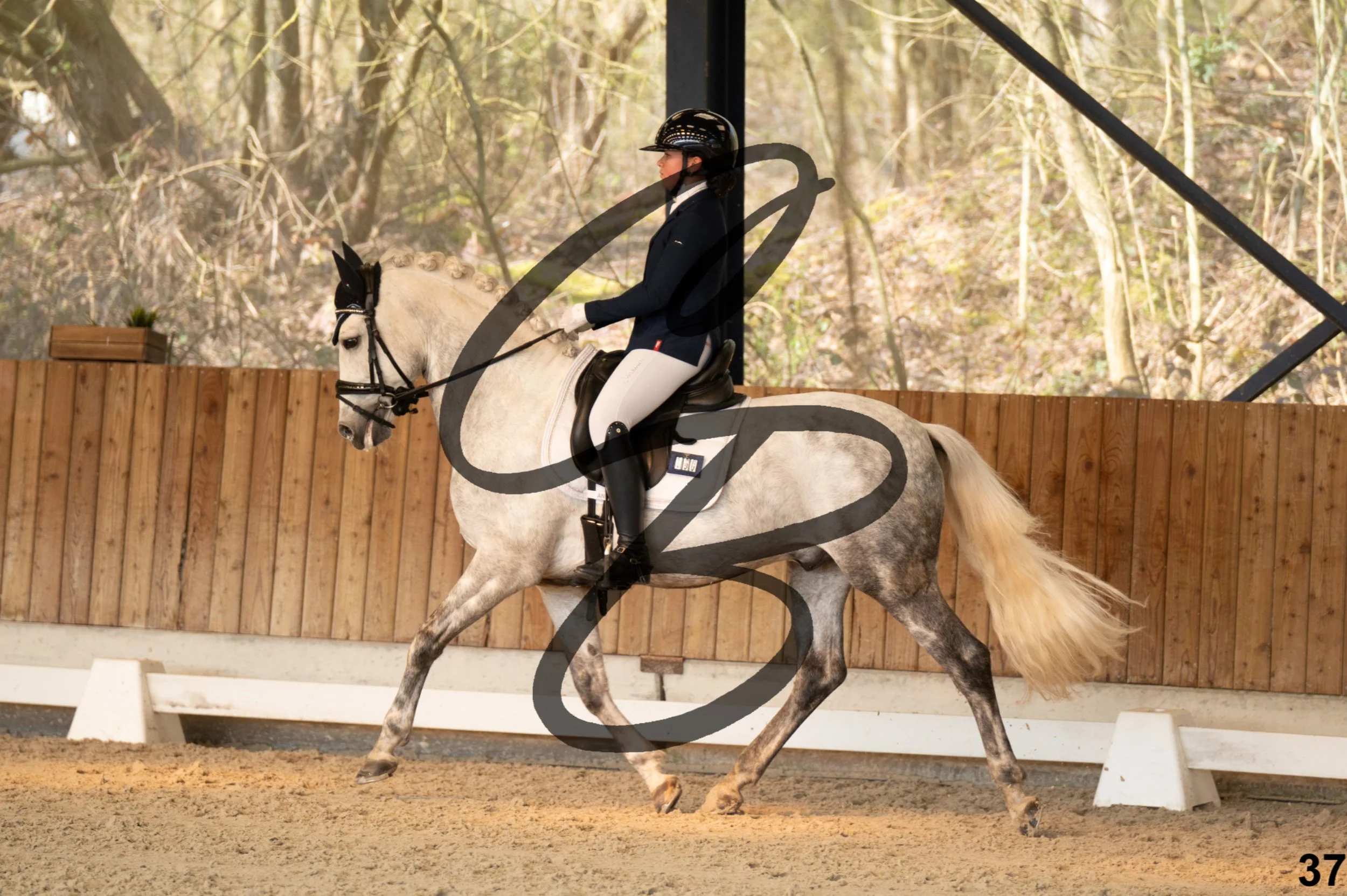 2026.03.22 - Niv3 - pony team test-37.jpg