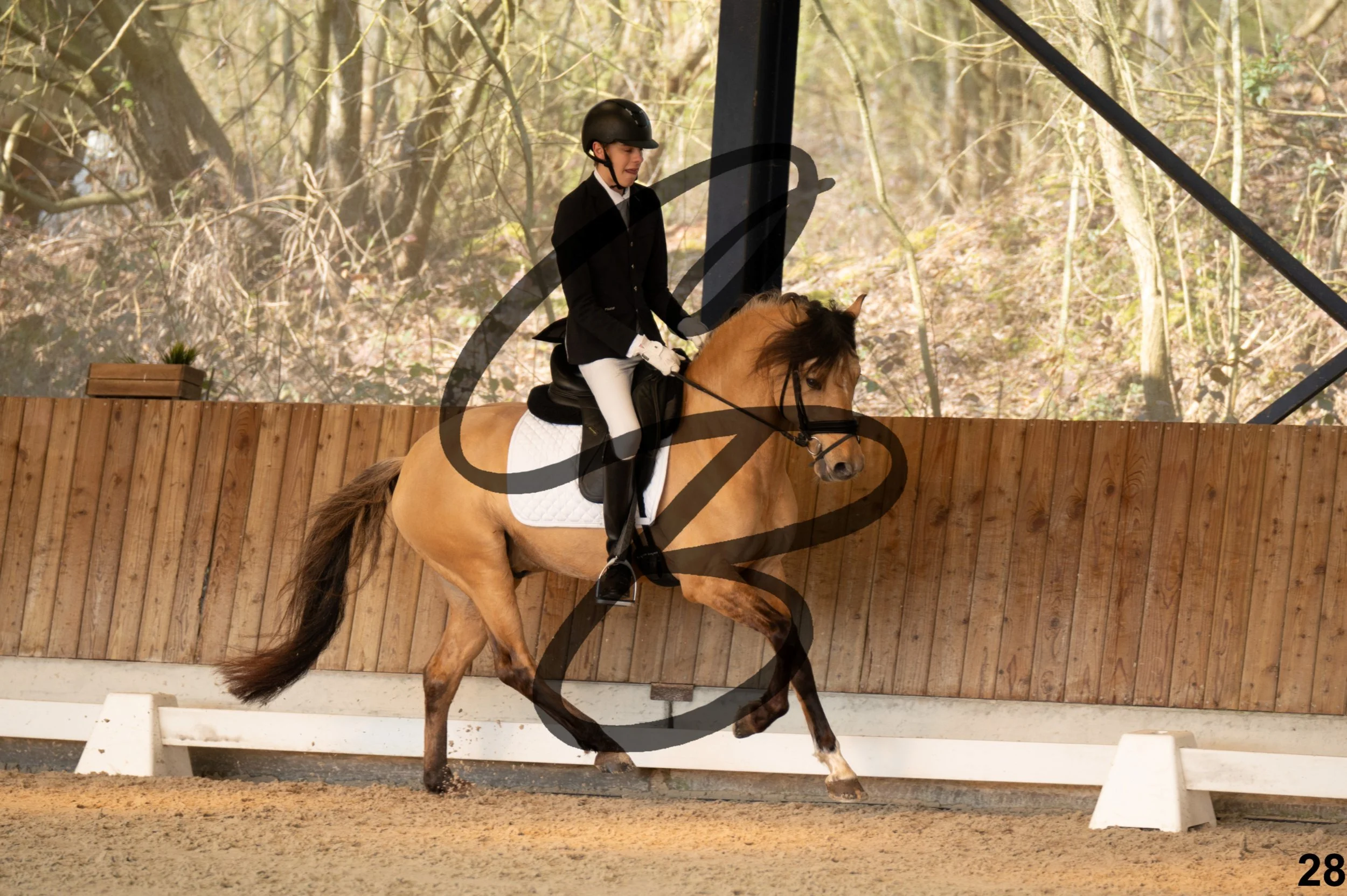 2026.03.22 - Niv3 - pony team test-28.jpg