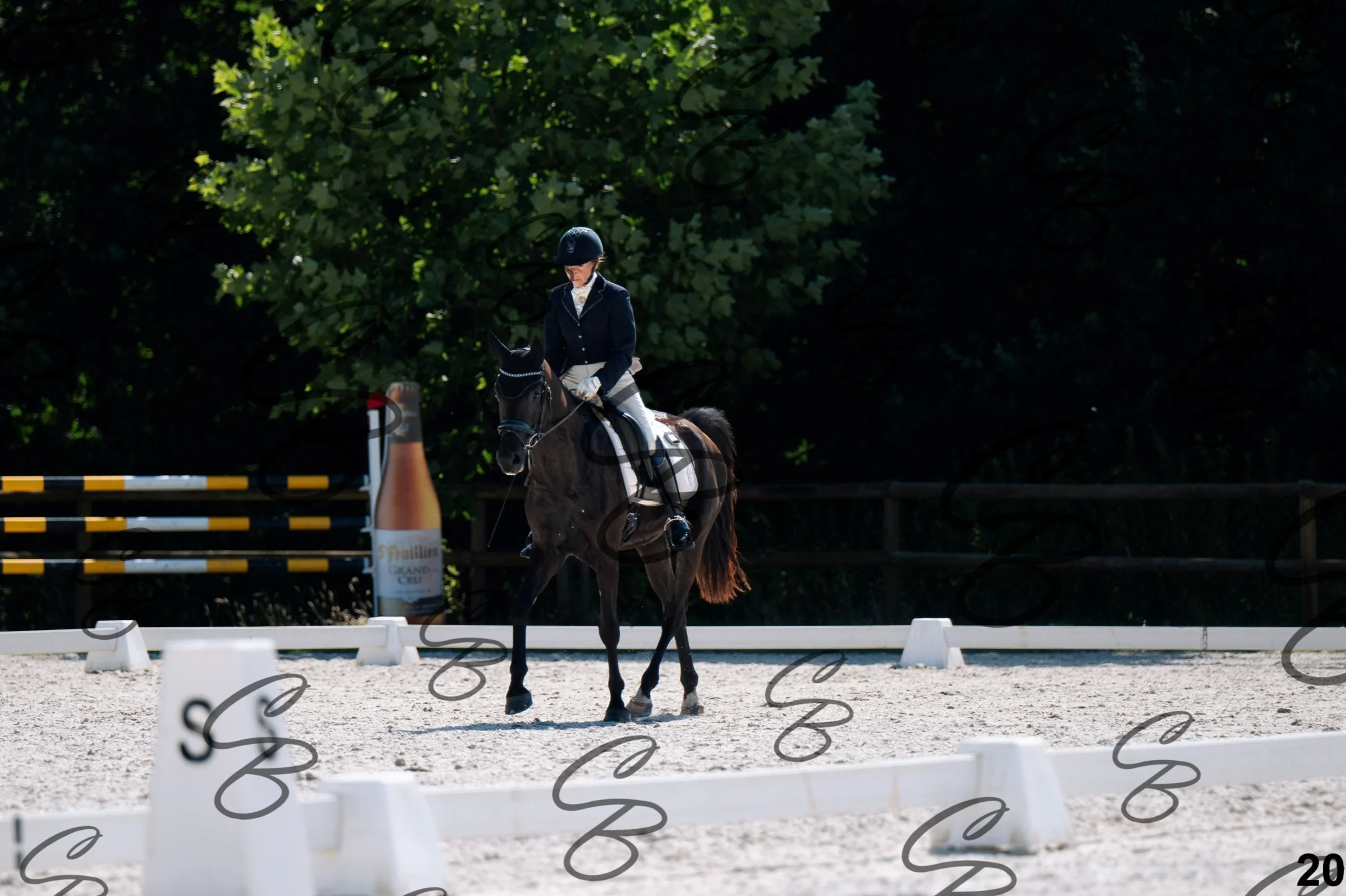 2026.07.12 - Jeunes chevaux - FEI 4YH Final Test-20.jpg
