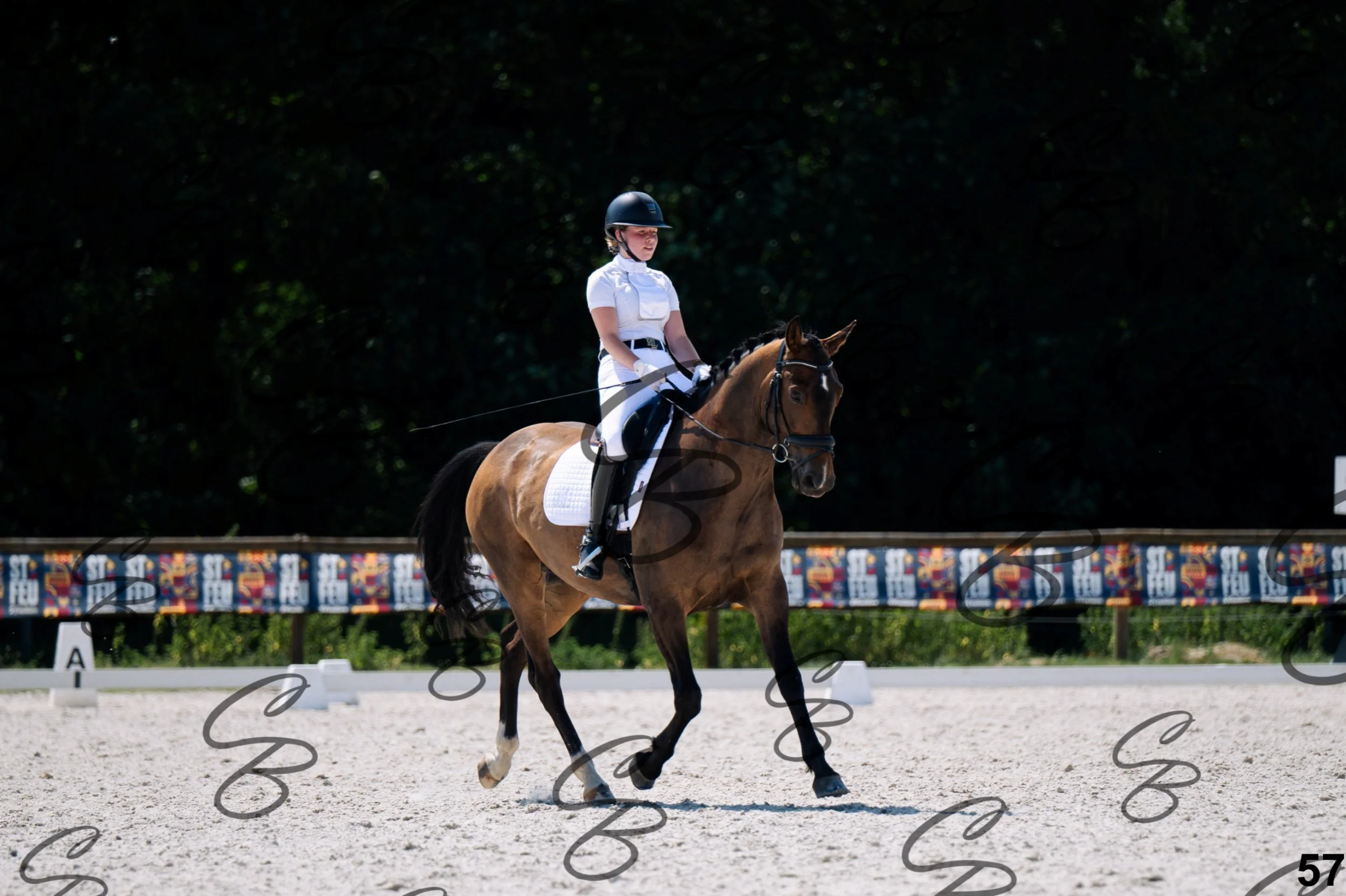 2026.07.12 - Niveau 2 - N2.4-57.jpg