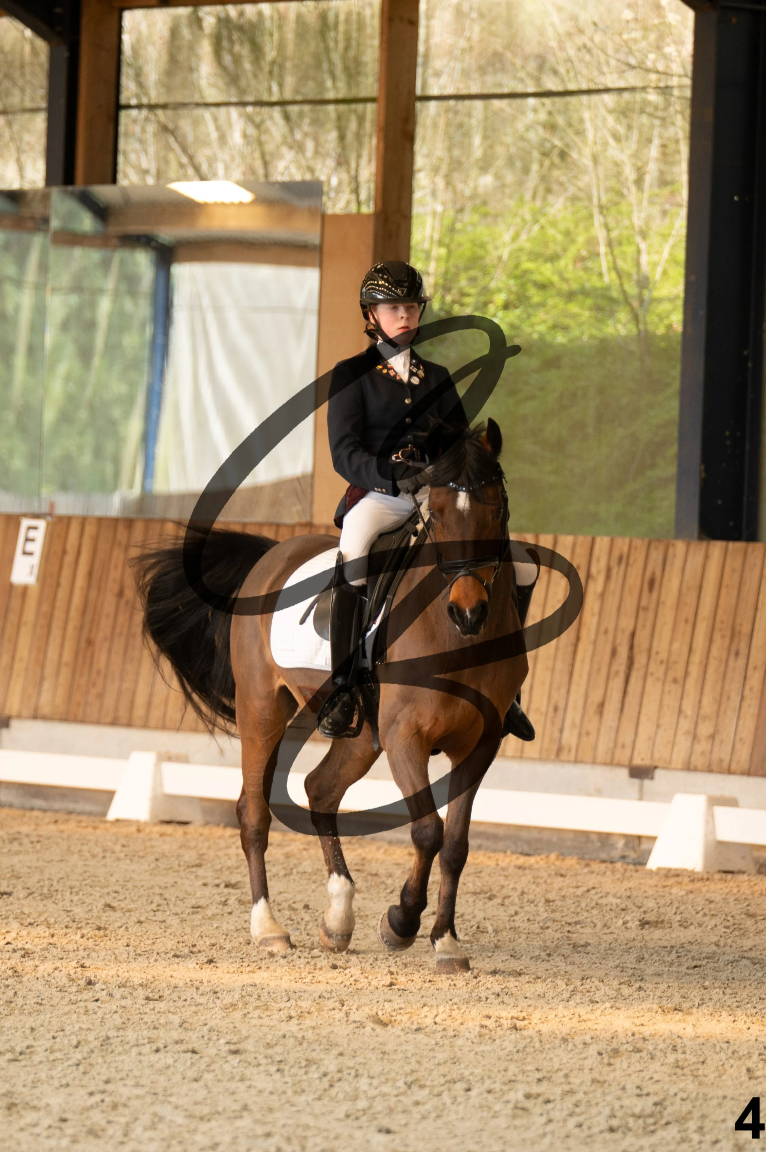 2026.03.22 - Niv3 - pony team test-4.jpg