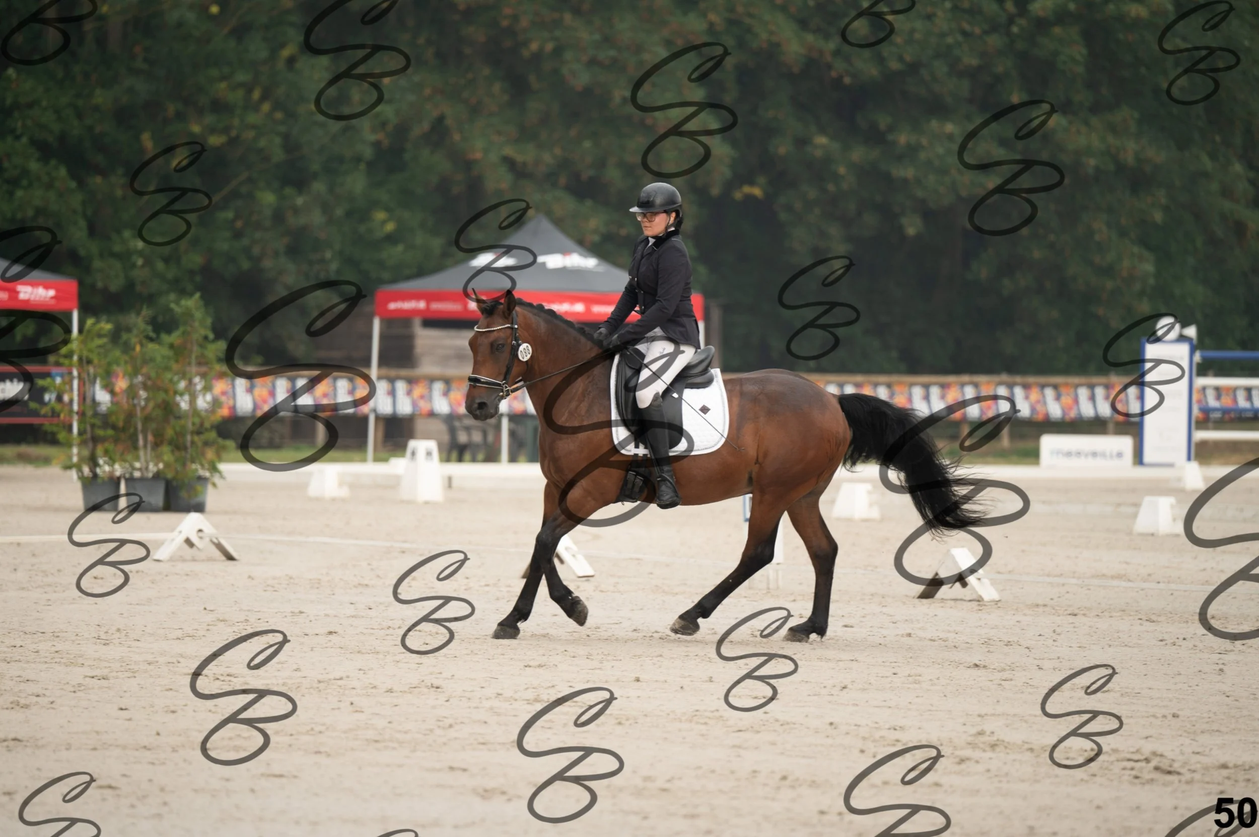 2026.08.15 - Louchier - GHO-79.jpg