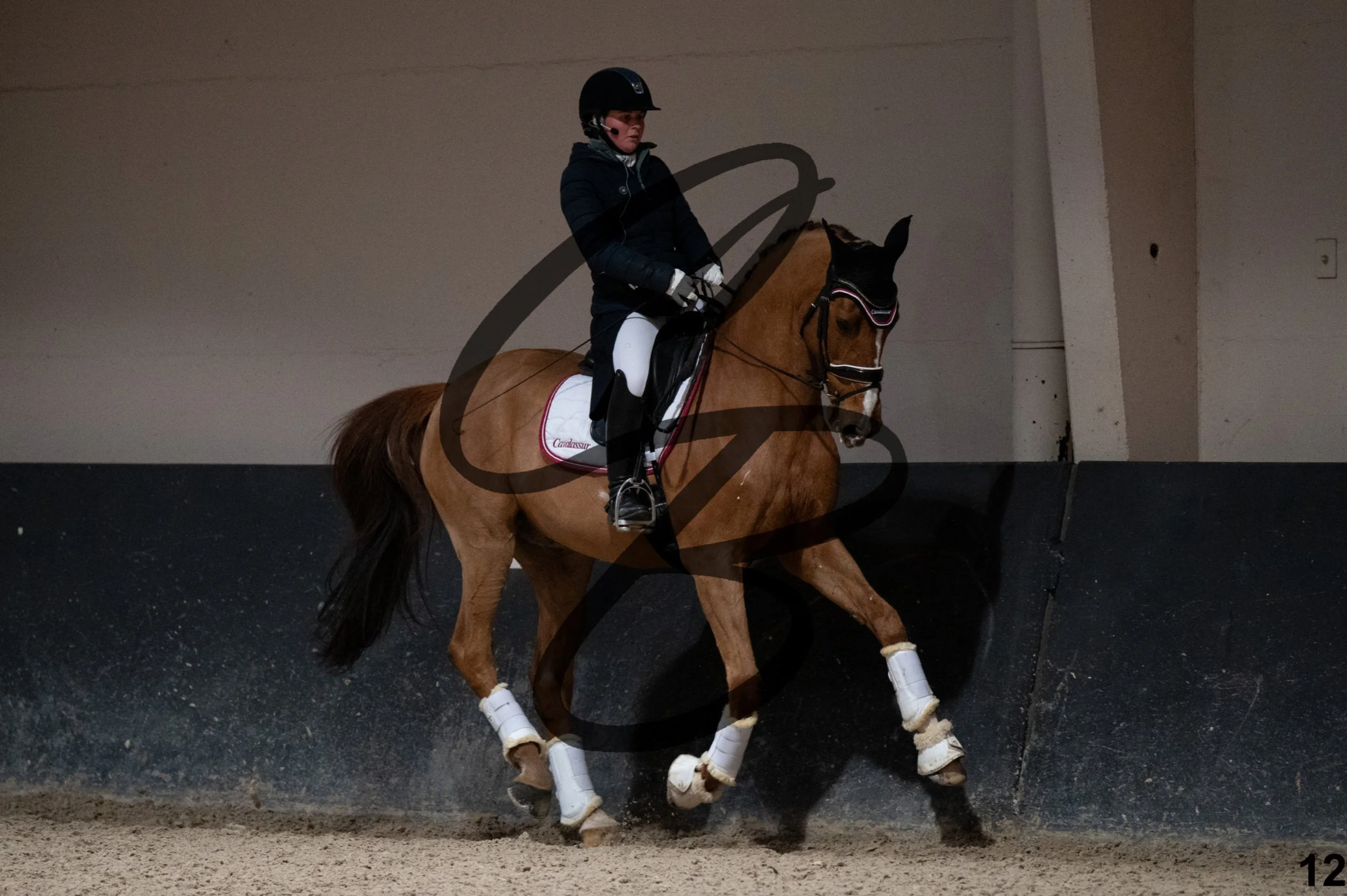2026.02.14 - Djessy Gesves - Galerie-12.jpg