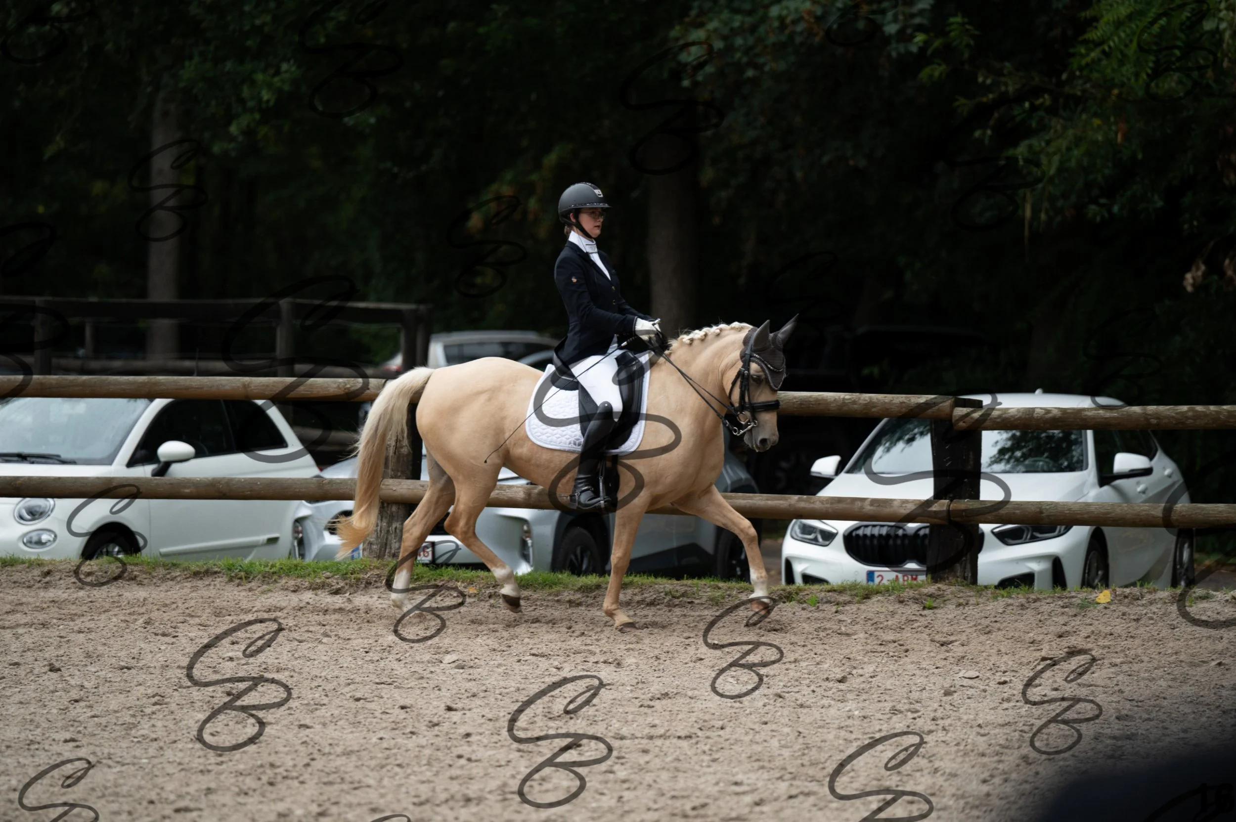 2026.09.13 - Alyssia-16.jpg