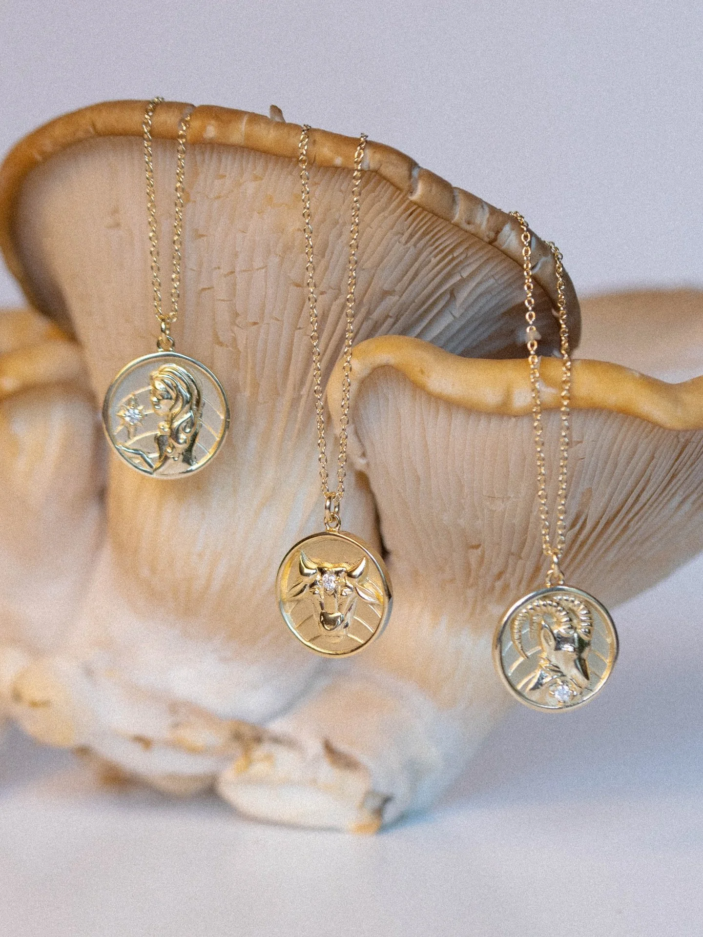 It&rsquo;s time to get grounded. 🍄&zwj;🟫🍂🪾

Meet the Earth signs: Taurus, Virgo, and Capricorn.

Taurus builds beauty and seeks comfort in the tangible. Virgo refines the world with clarity, care, and quiet strength. Capricorn climbs steadily, sh