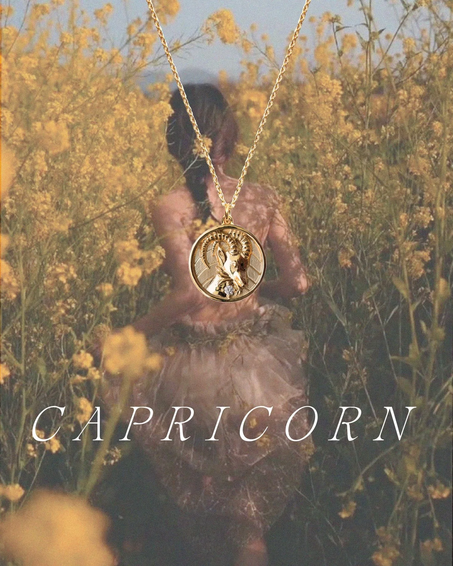 ✨ Capricorn Season has arrived. ✨ As the sun slows and the world turns toward stillness, the Winter Solstice ushers in Capricorn Season. A time of ambition, perseverance, refinement, and grounded strength.

Capricorn, a cardinal earth sign, thrives i