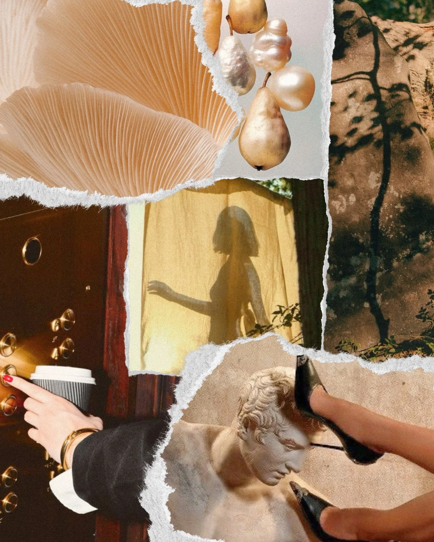 The most disciplined of mood boards for Capricorn 🖤🐐🪨✨

#astrology #capricorn #capricornseason #capricornszn #mood