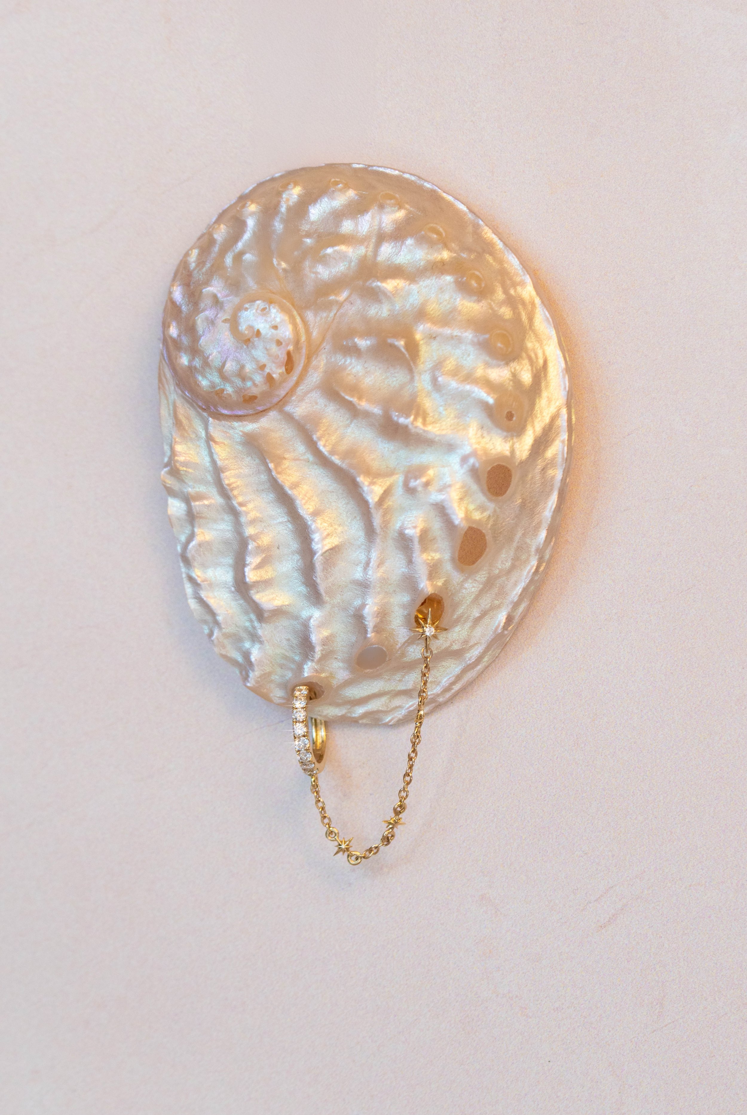 Shell Earring.jpg