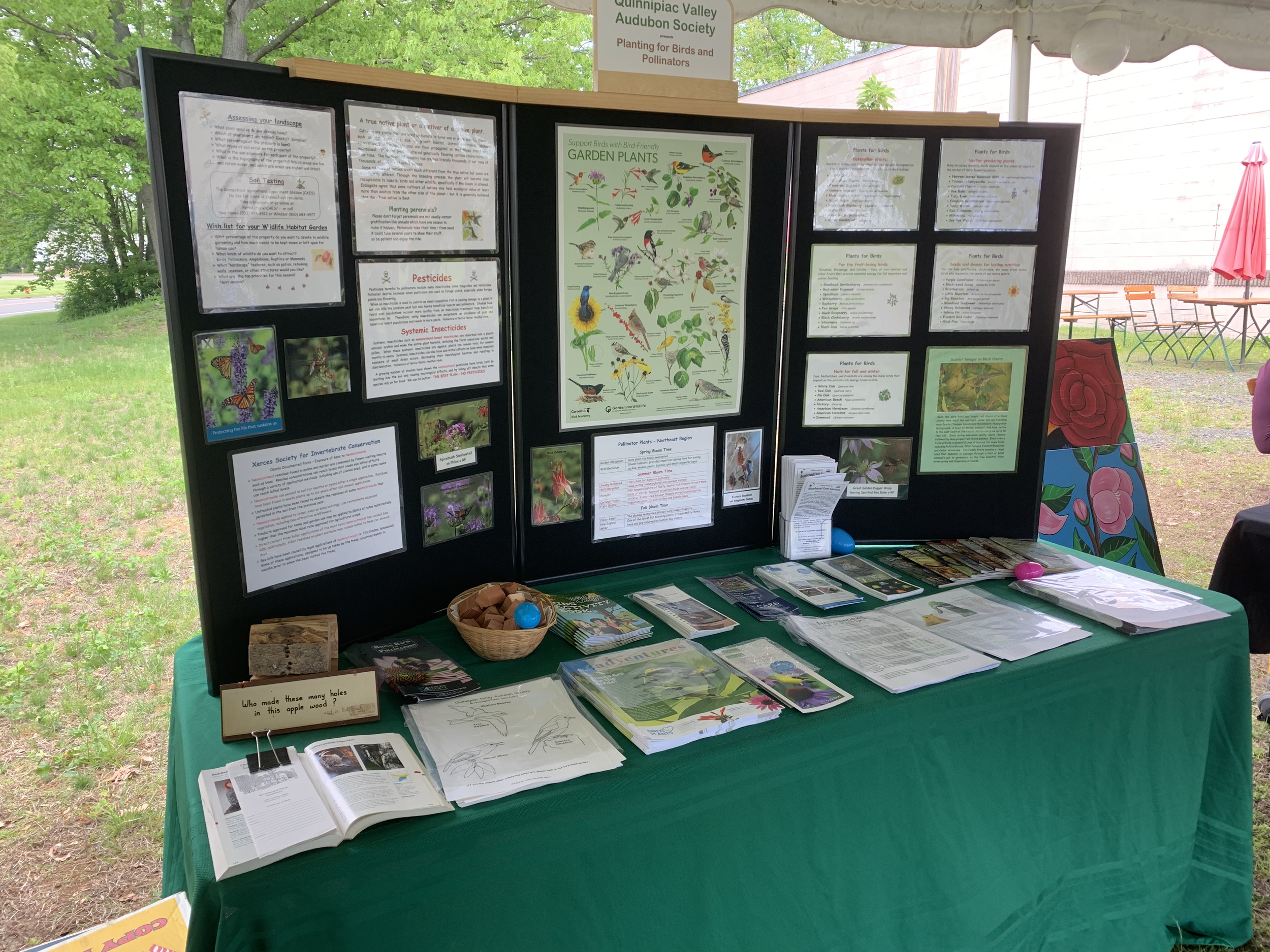 QVAS's Planting for Birds and Pollinators display at the Birds & Beyond Fair