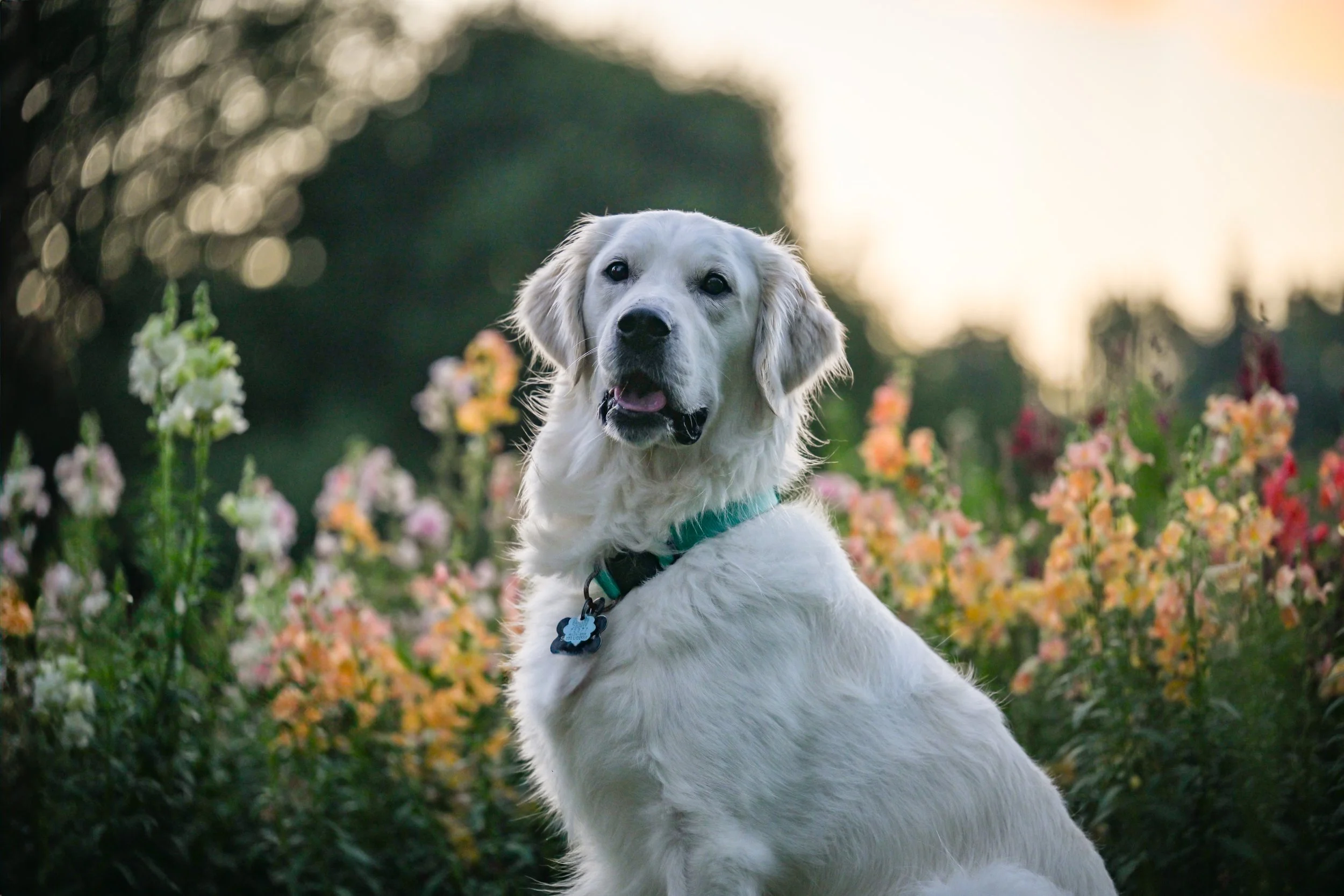 25.07.13-Flower-Farm-Model-Call---Miller-&-Charlie-0185.jpg