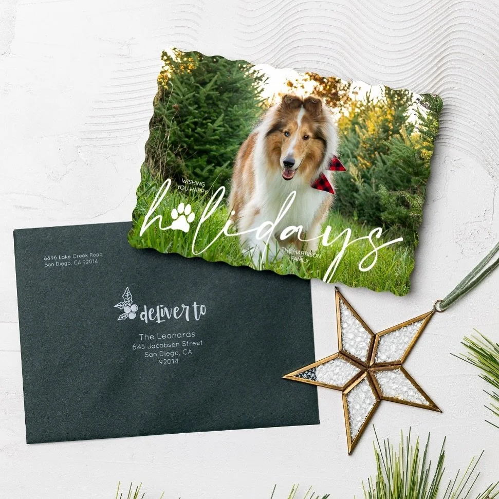 That holiday to-do list? I’m here to help you check off your holiday cards! ✨
I’m so excited to announce a beautiful new addition to my Christmas Tree Farm Experience! To make your holidays even more seamless and special, every session n