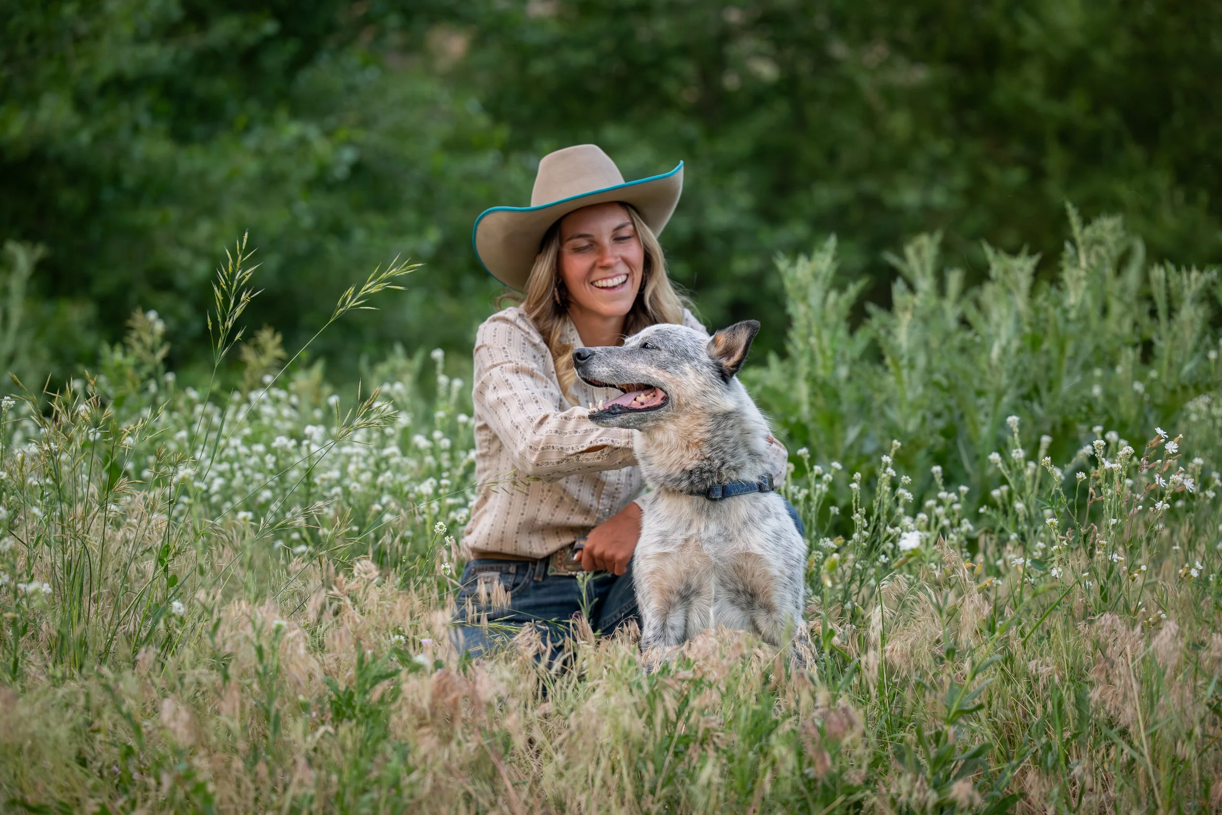 Why Now Is the Right Time for Dog Portraits, Even If Life Feels Busy