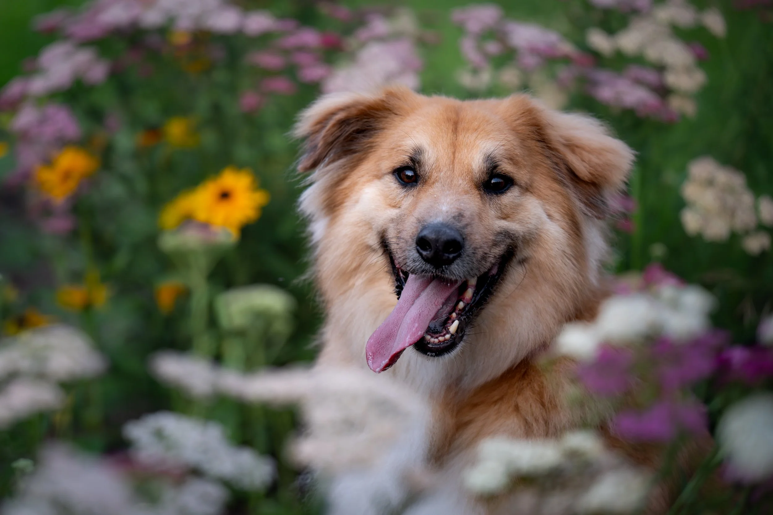 25.07.13-Flower-Farm-Model-Call---Archer-&-Sandy-0154.jpg