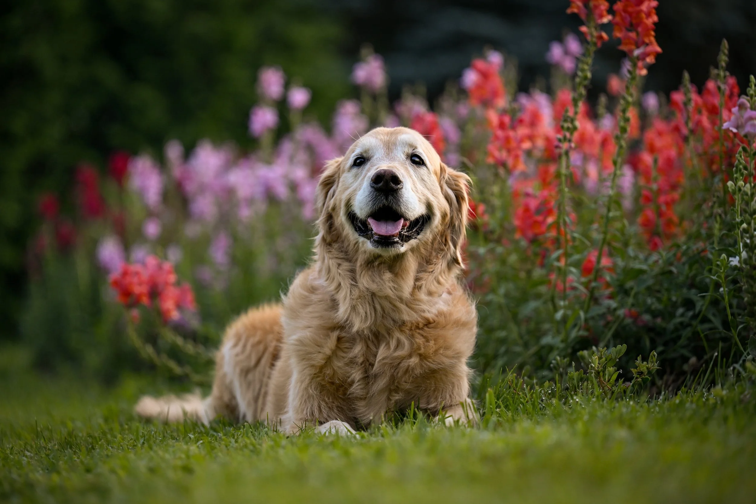 25.07.13-Flower-Farm-Model-Call---Darby-0289.jpg