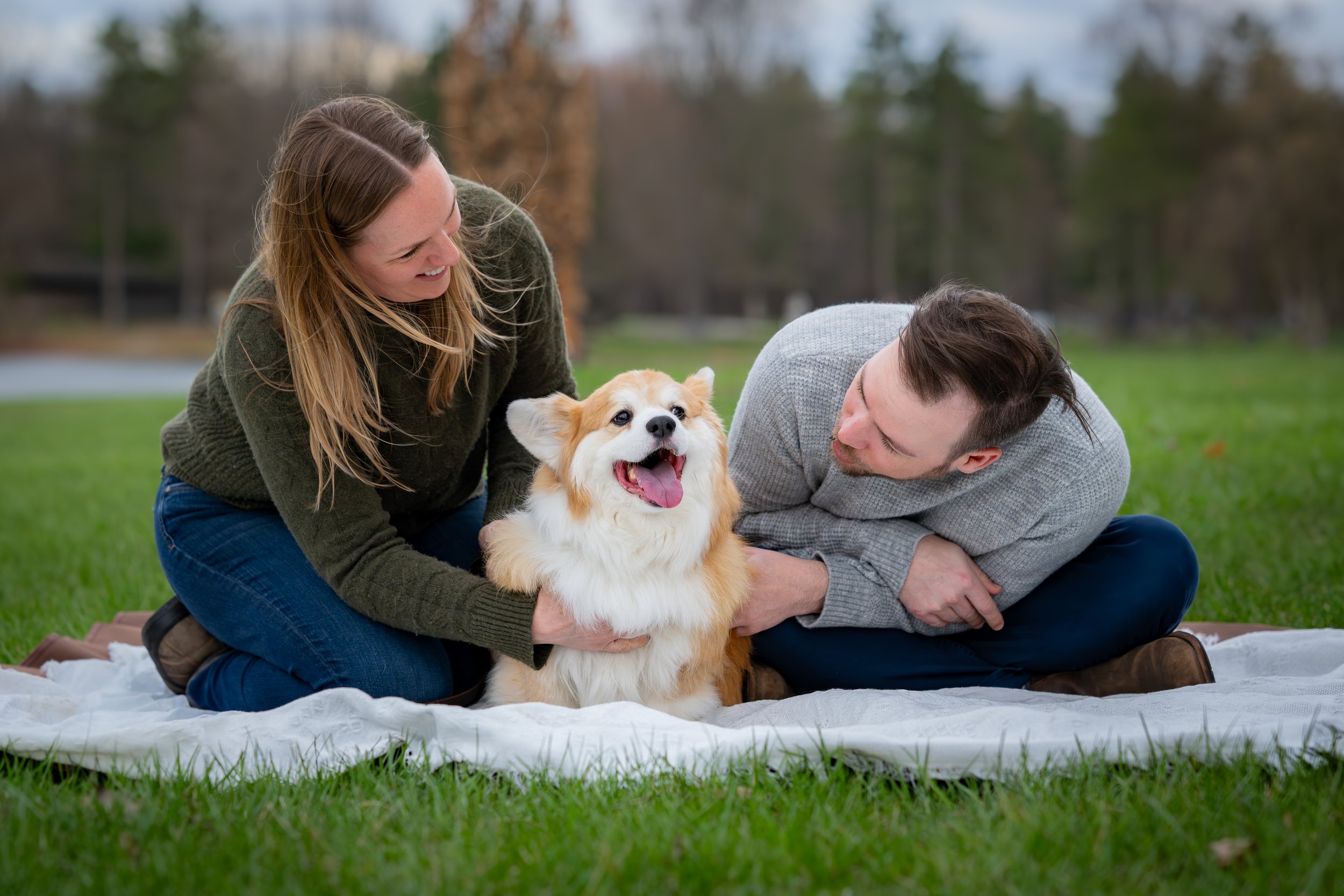 Couple laughing with their Corgi on a blanket during a pet photography session in Michigan