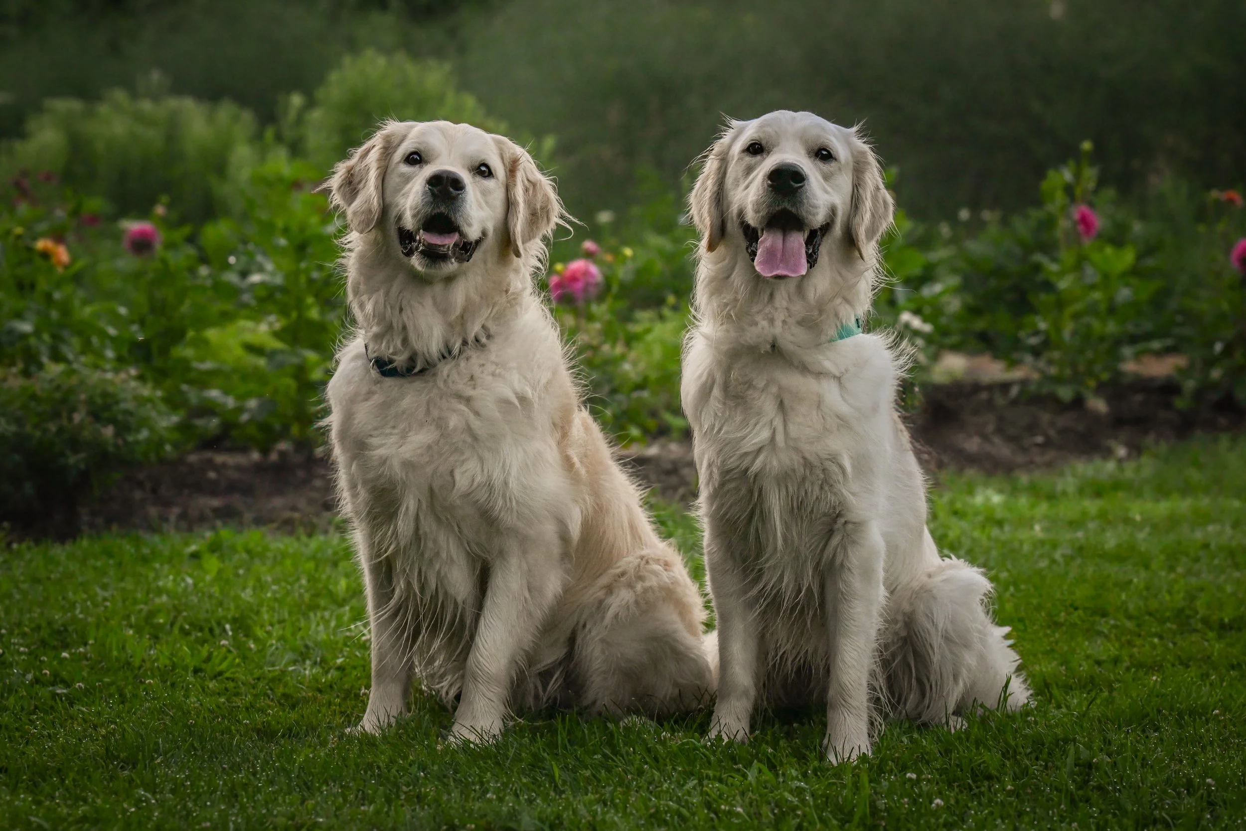 25.07.13-Flower-Farm-Model-Call---Miller-&-Charlie-0449.jpg