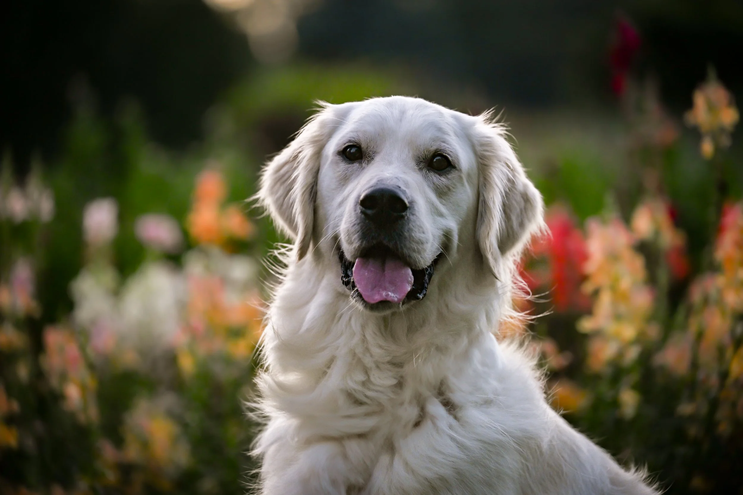 25.07.13-Flower-Farm-Model-Call---Miller-&-Charlie-0247.jpg