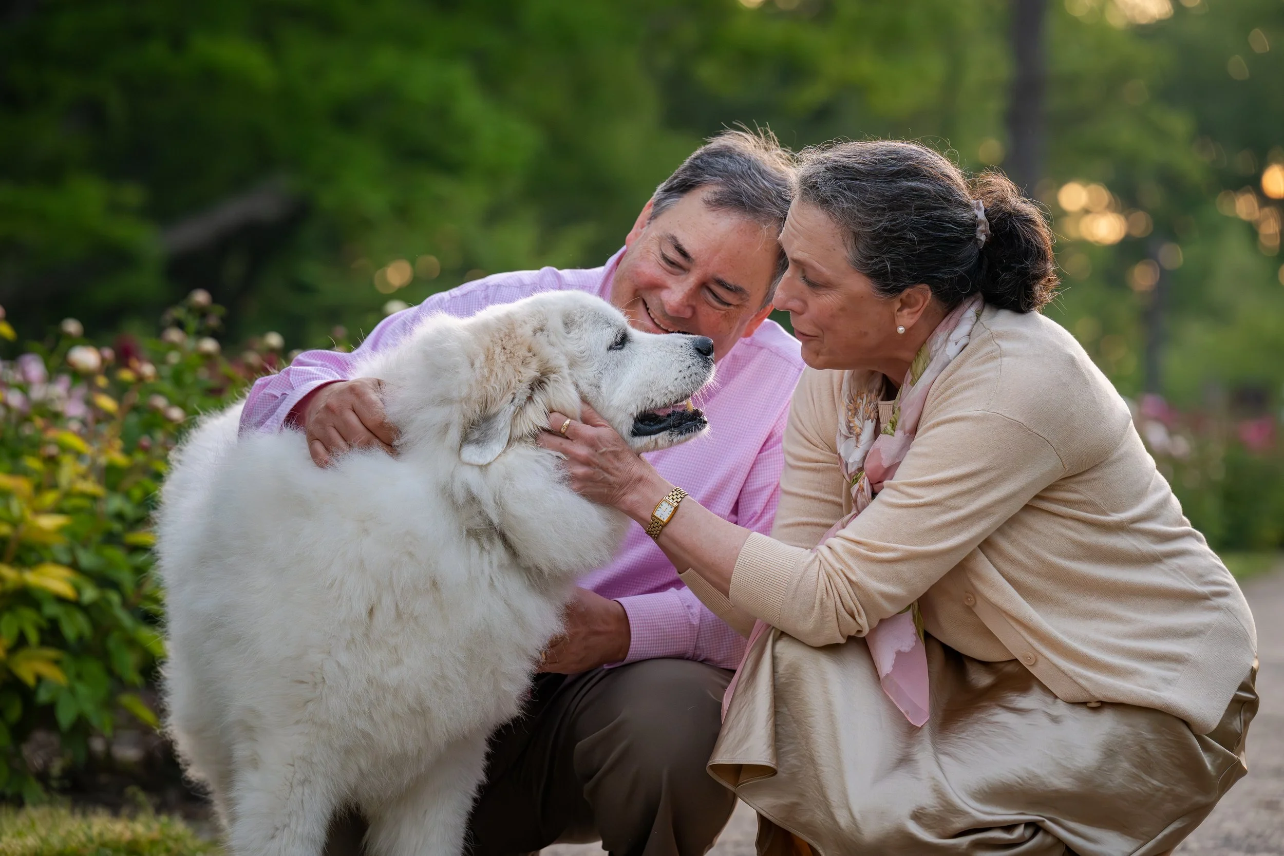 West Oak Dog Photography - Southeast Michigan Pet Photographer - Great Pyrenees dog at Nichols Arboretum Peony Garden in Ann Arbor, Michigan.jpg