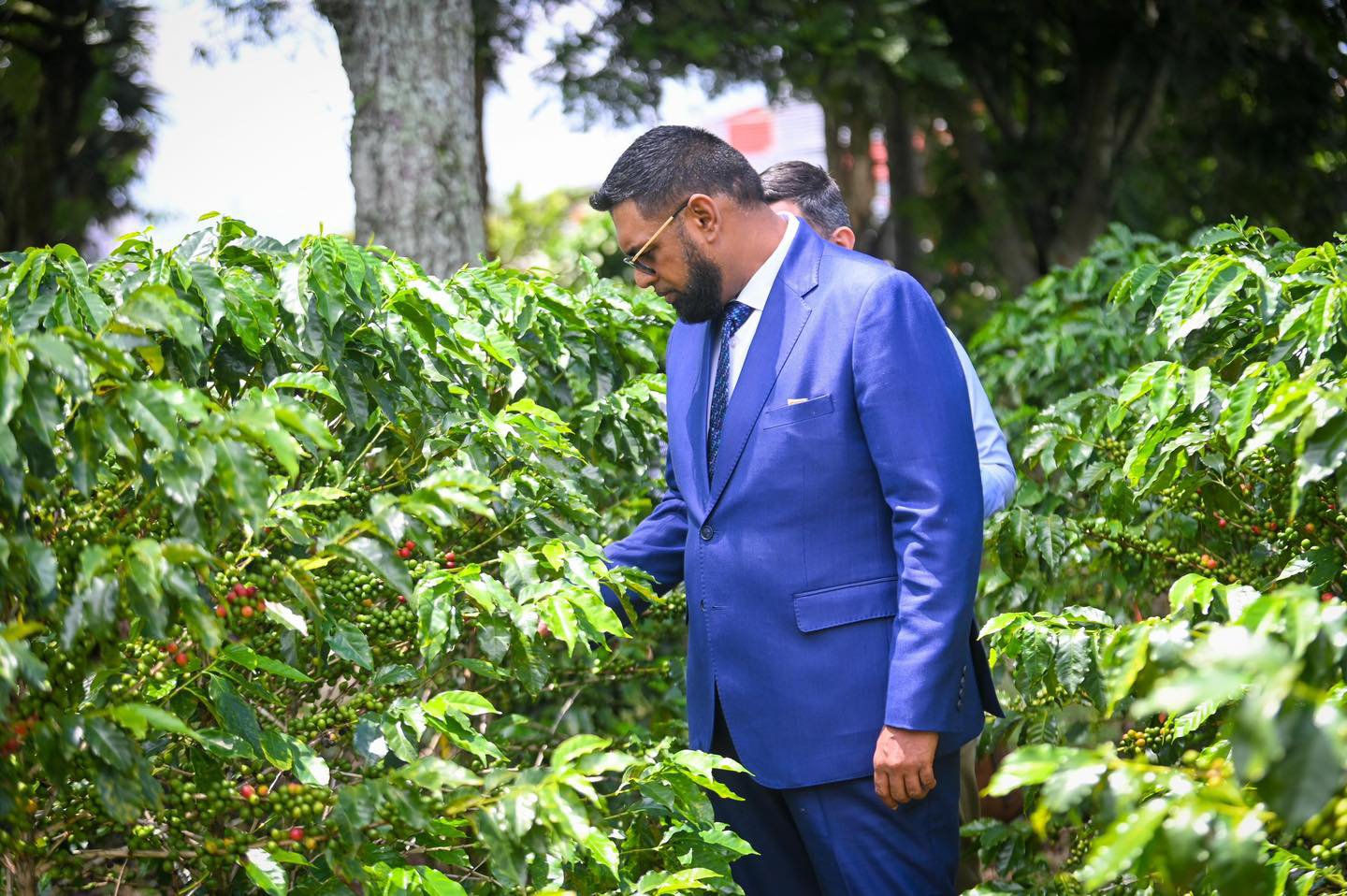 Guyana Empowers Farmers with AI-Powered ‘AskGov’ Tool for Real-Time Agricultural Support