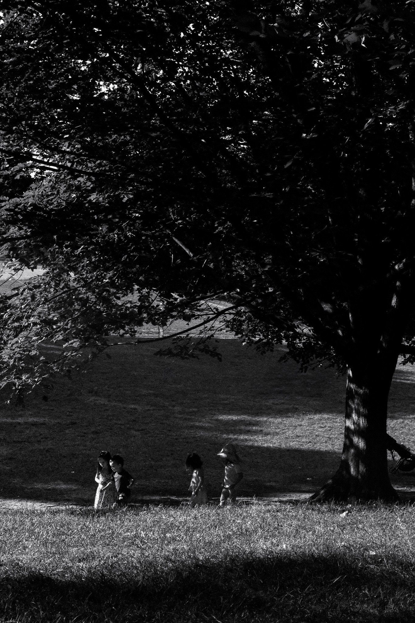 " Playtime in the Park" Central Park