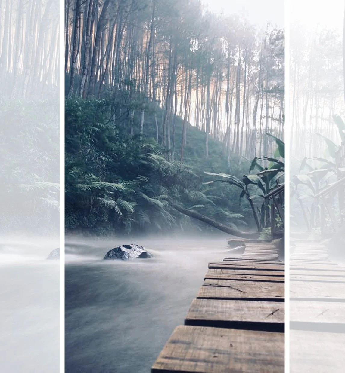 Screenshot 2024-08-16 at 10.22.47 AM.jpg