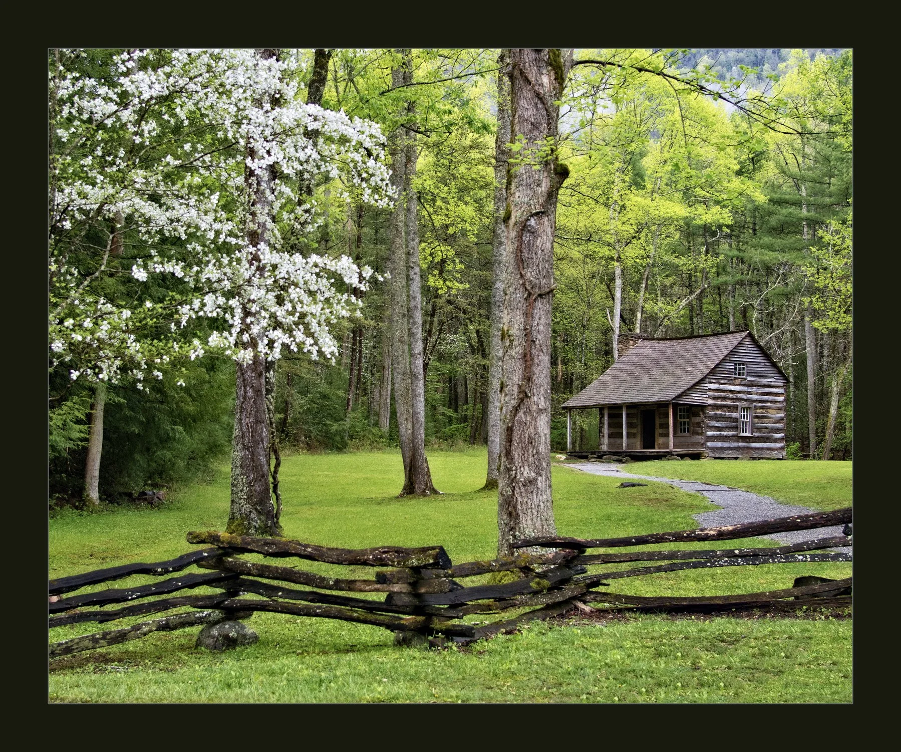 Cabin in Bloom by Lori Probst