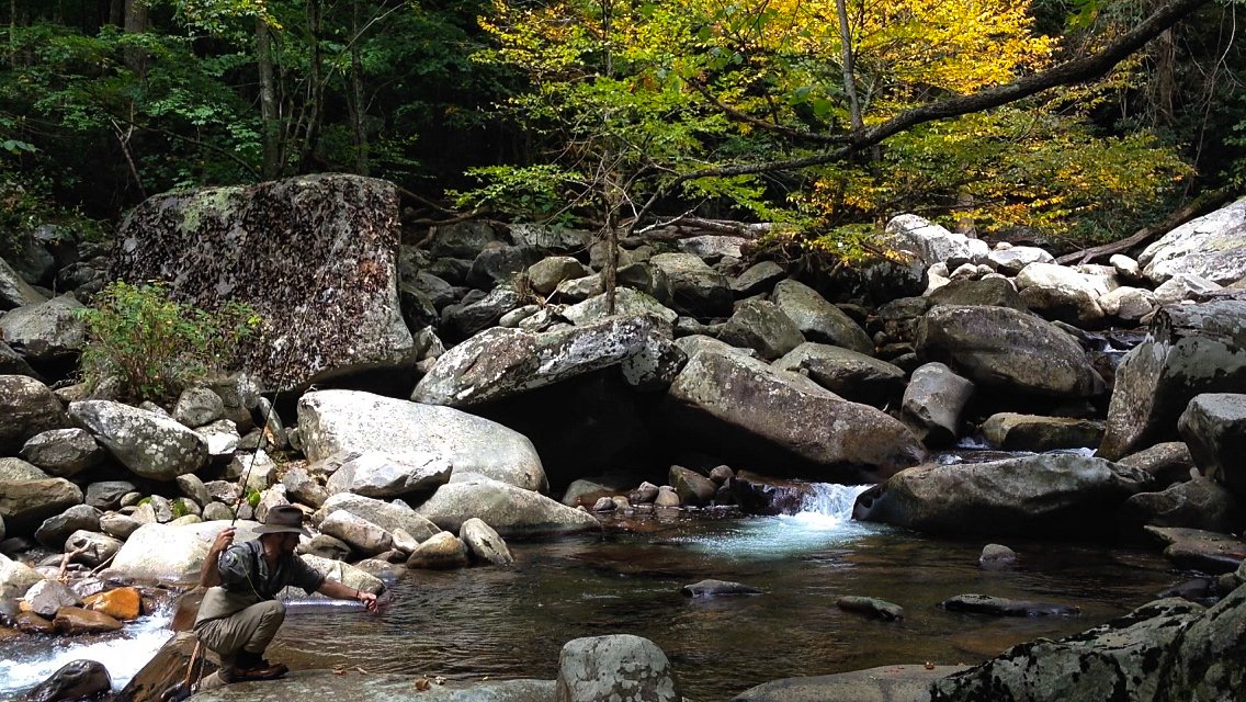 Fishing the plunge pools in the Great Smoky Mountains National Park