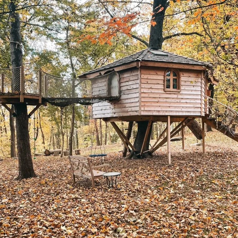 custom-tree-house-gladwyne-construction-7.jpg