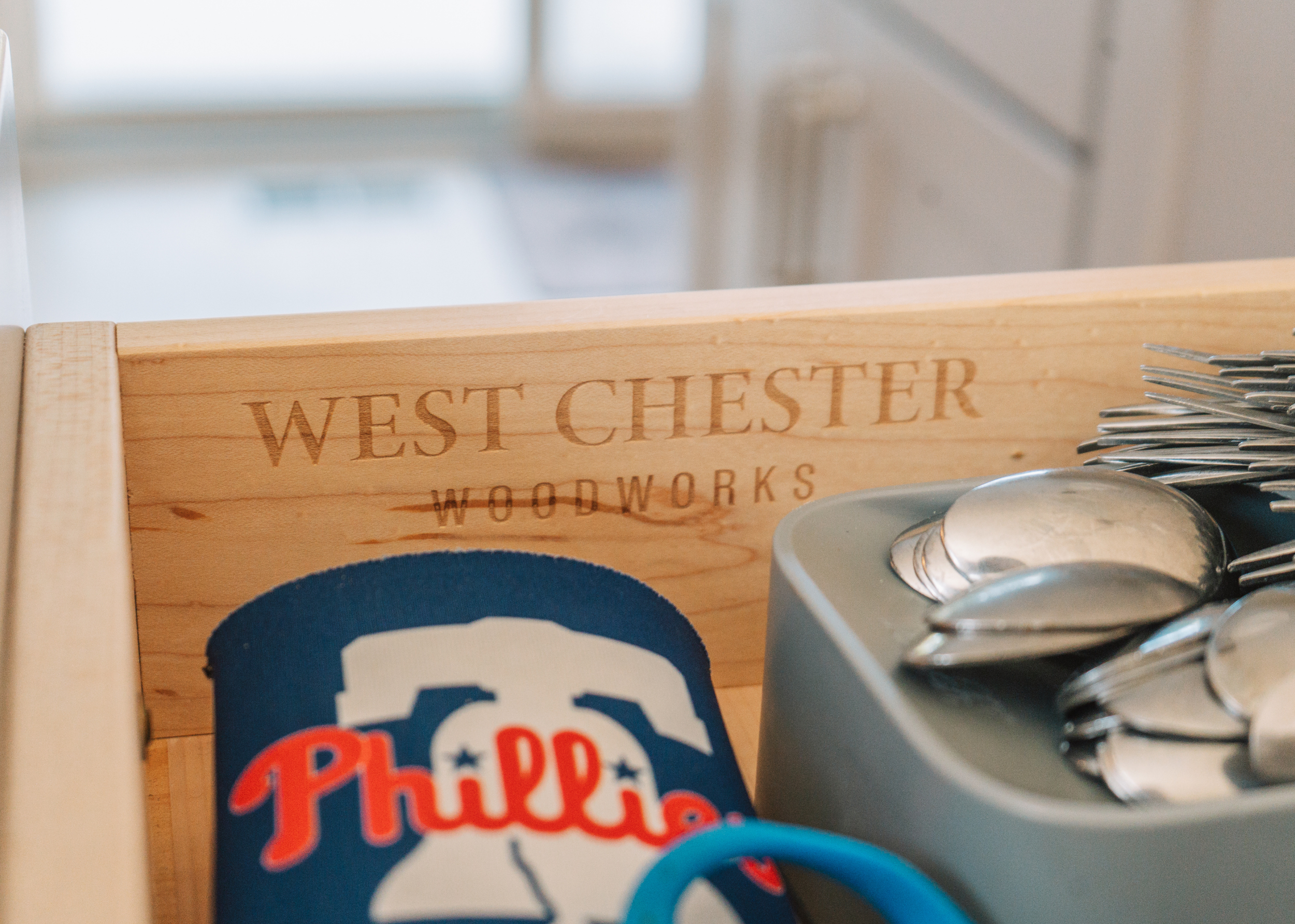 Drobenek_Full_home_renovation_West_chester_pa_10.png