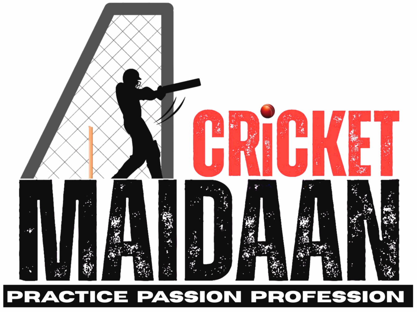 Cricket Maidaan | Practice | Passion | Profession