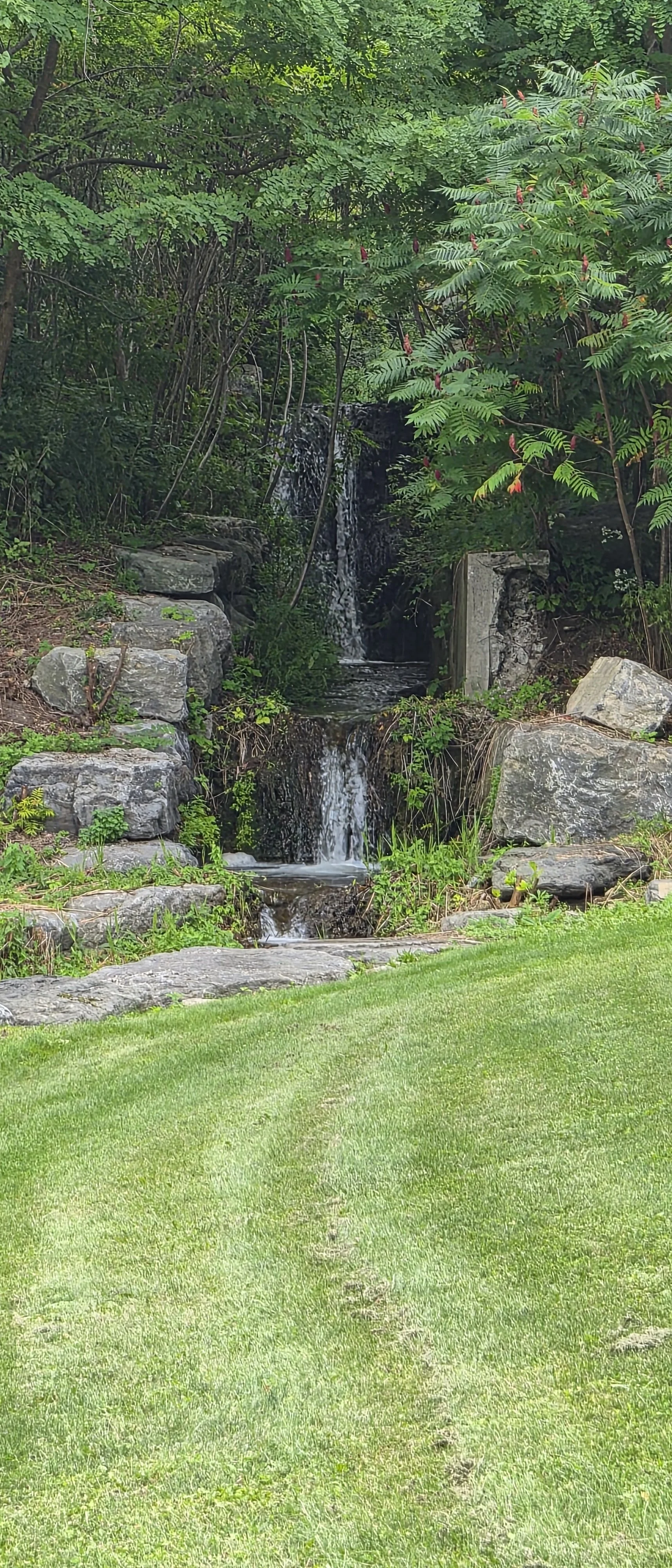 20260916_153617.jpg