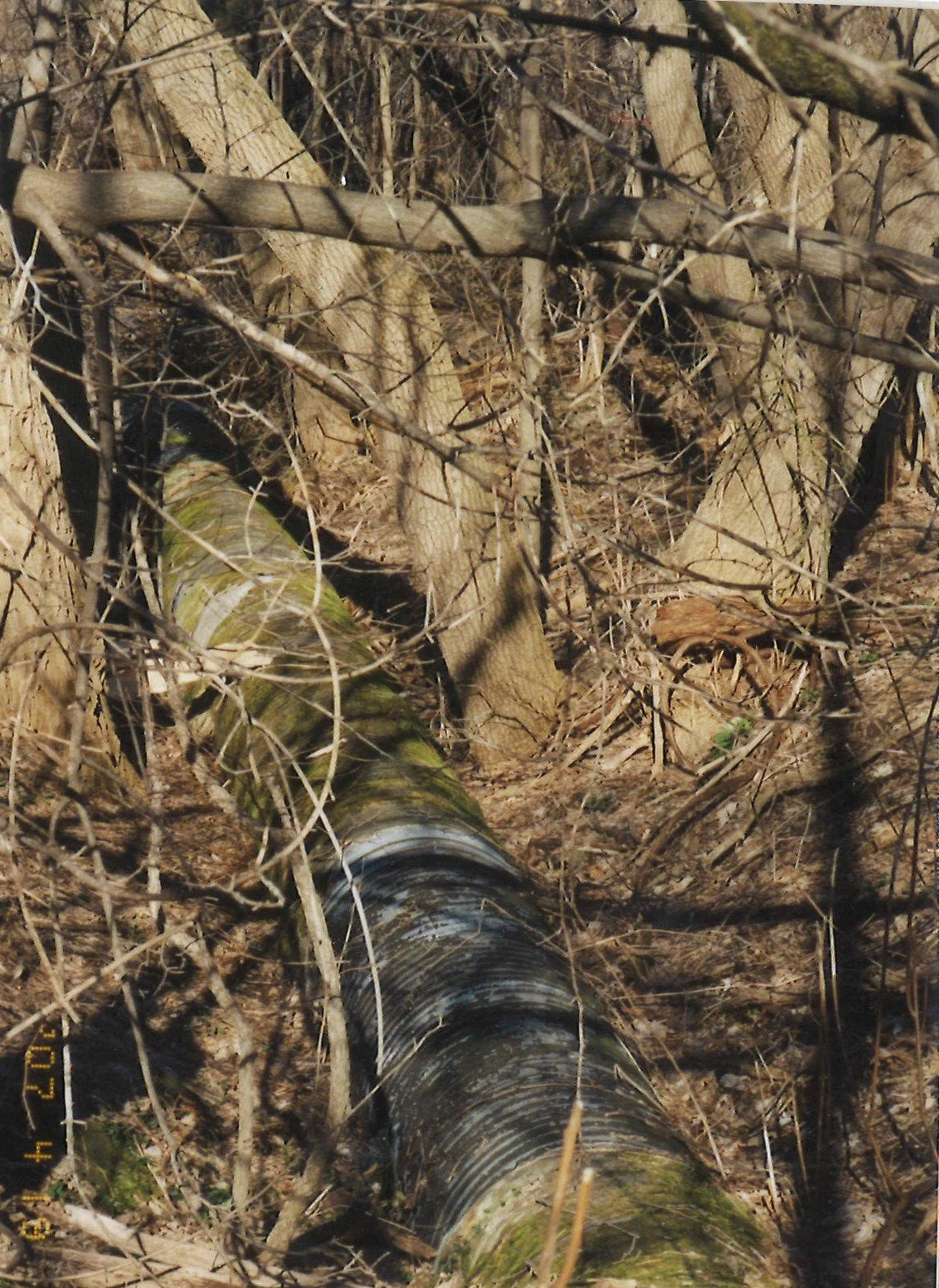 Ledyard Canal 7.jpg