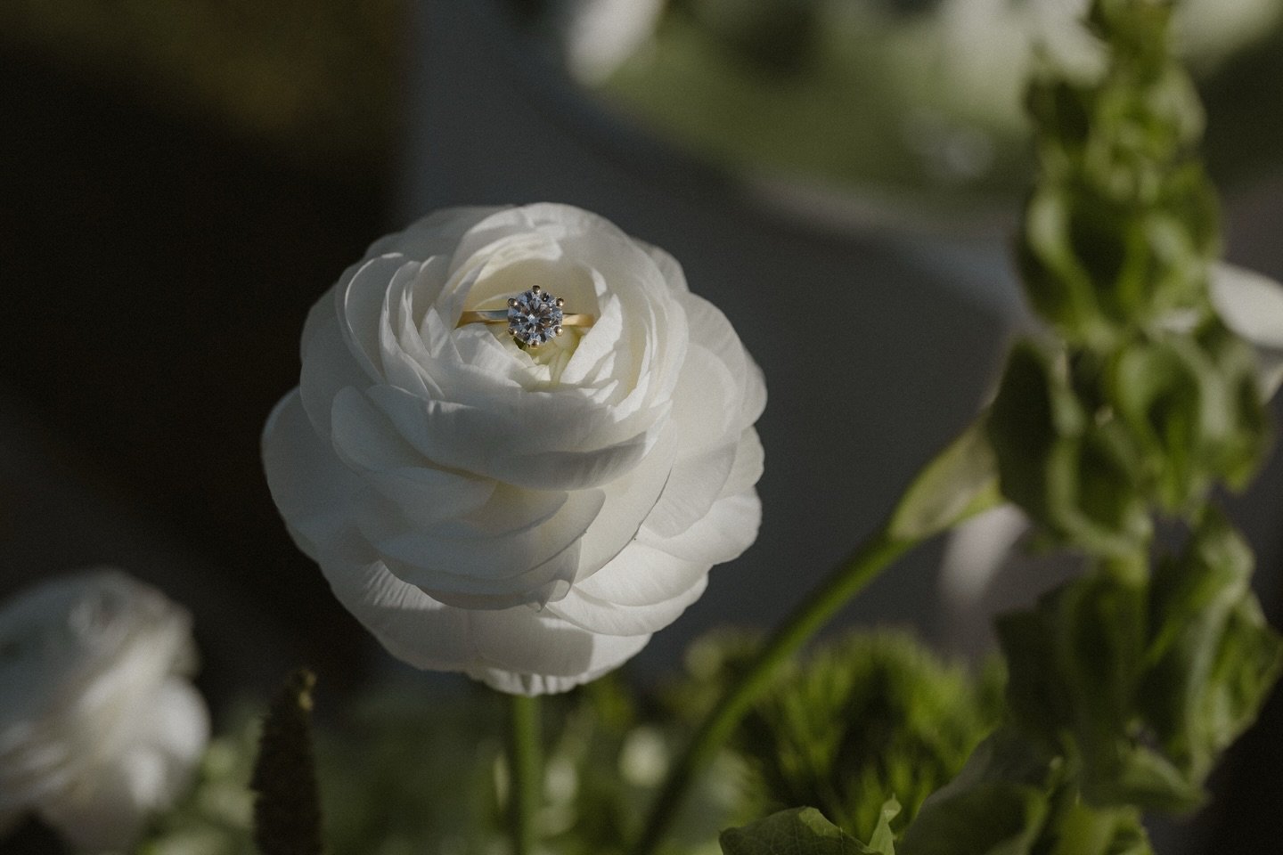 absolutely in love with this details 🫶🏼🍵

Wedding Planner: @weddingisabeach
Photographer &amp; Videographer: @alstede.weddings 
Hair &amp; Makeup: @makeupartistry.by.esther 
Stationary: @florabelle.paperart
Jewelry: @dalou_jewelry
Floral Design: @