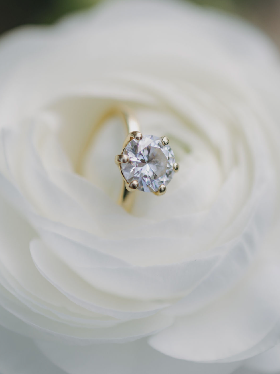 Close-up of a diamond engagement ring with a large center stone, resting on white flower petals.