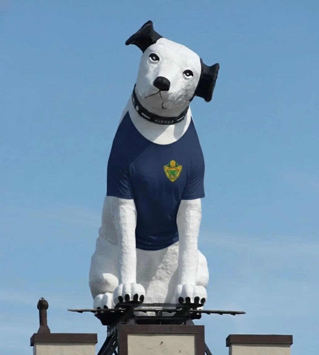 @mayordorceyapplyrs hear us out....

Shirts are going fast! Store will be open until 2/18
so time is running out!

Store link in bio