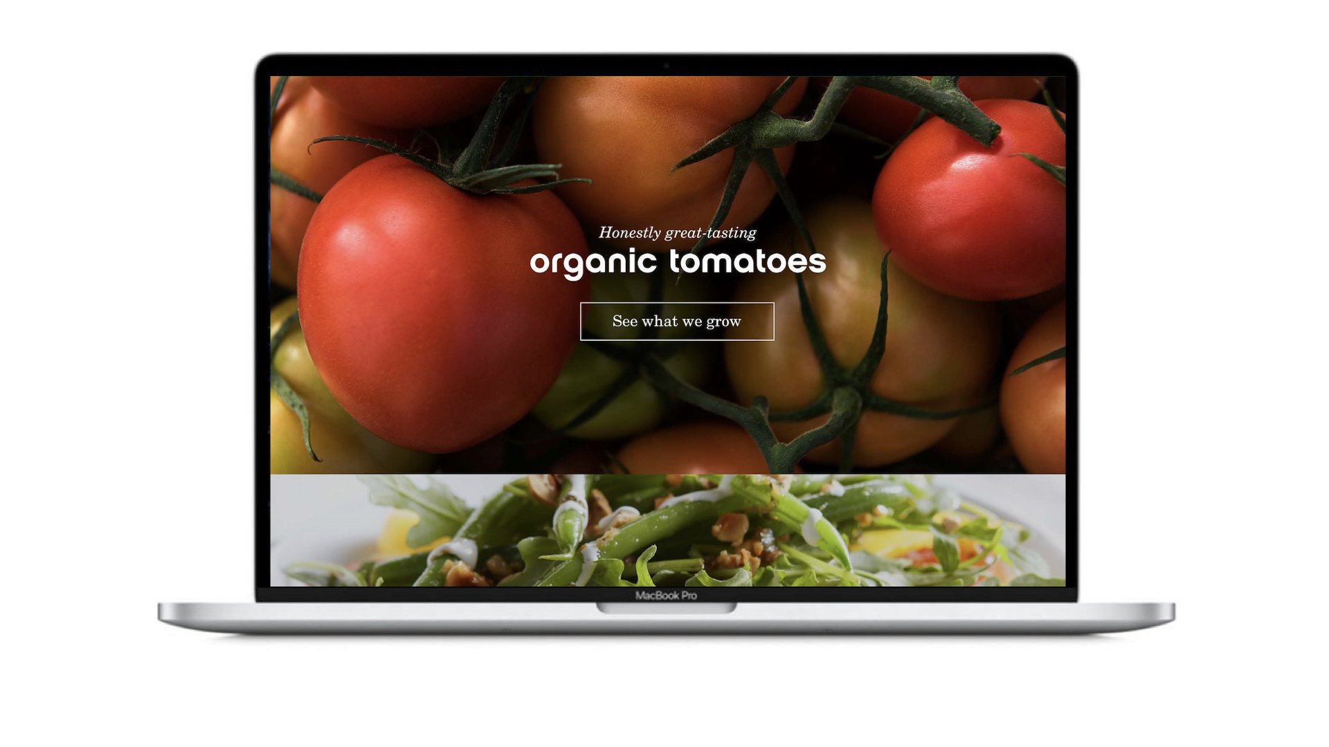 Website / Product Teaser