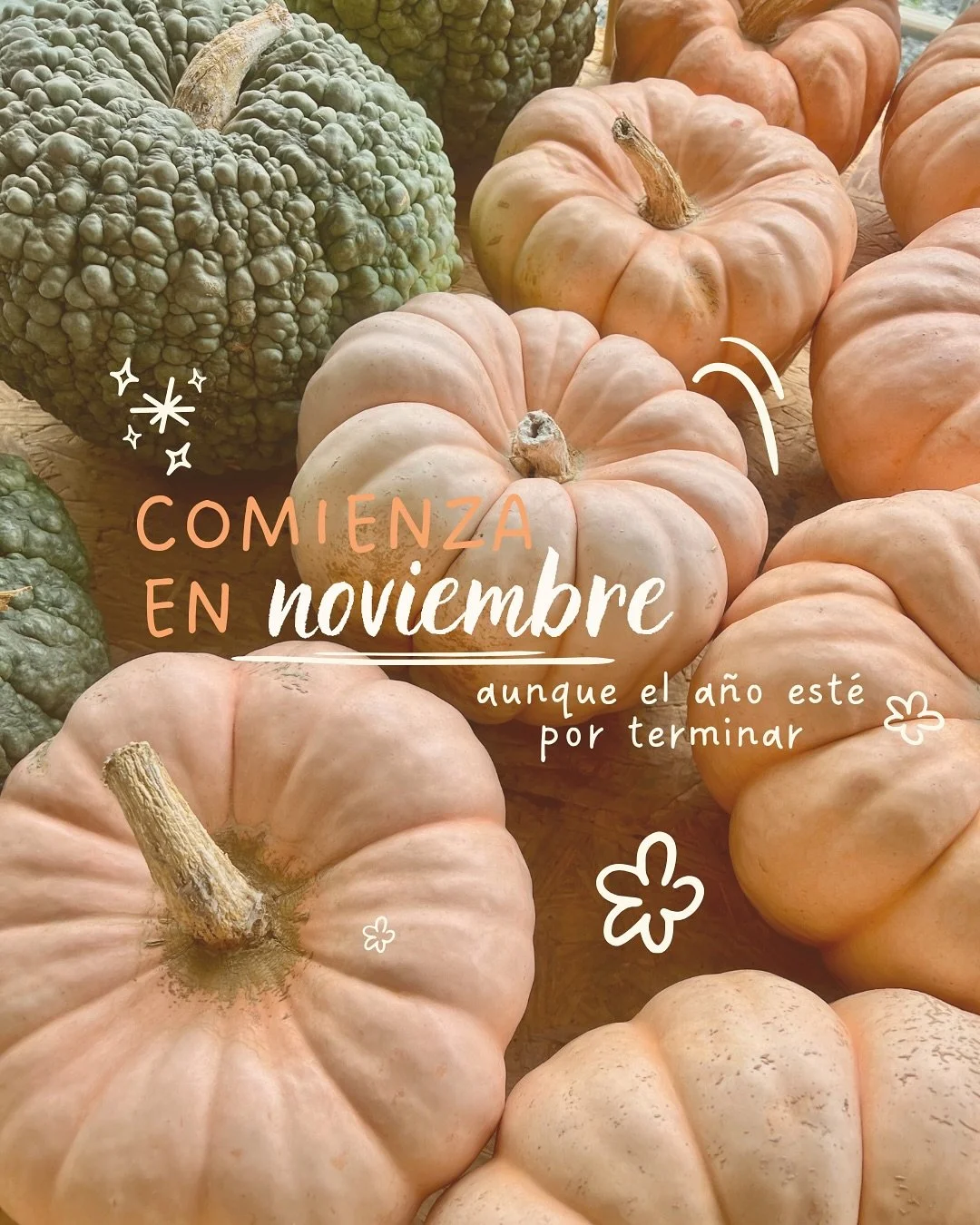 A veces solo necesitamos que alguien nos lo recuerde: puedes empezar hoy 🍃

Se nos hace tan f&aacute;cil encontrar miles de excusas para quedarnos quietas, esperando el momento perfecto.

Pero siendo honesta (conmigo y contigo)😉, el mejor momento s