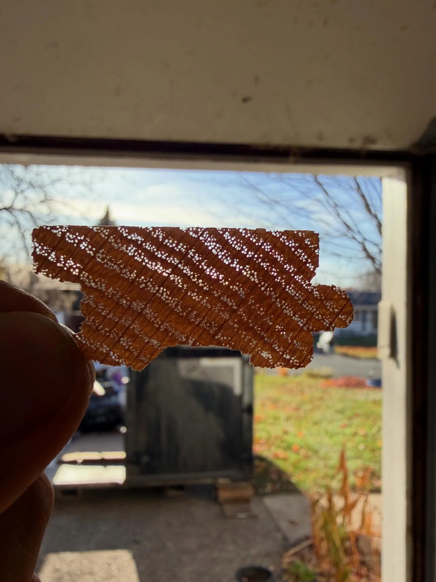 &ldquo;Solid&rdquo; hardwood, a good example of what your floors are comprised of. Wood grain structure are like fibrous straws held together. They absorb the atmosphere in the environment. Smells, oils, moisture. Coating your floors with the right f