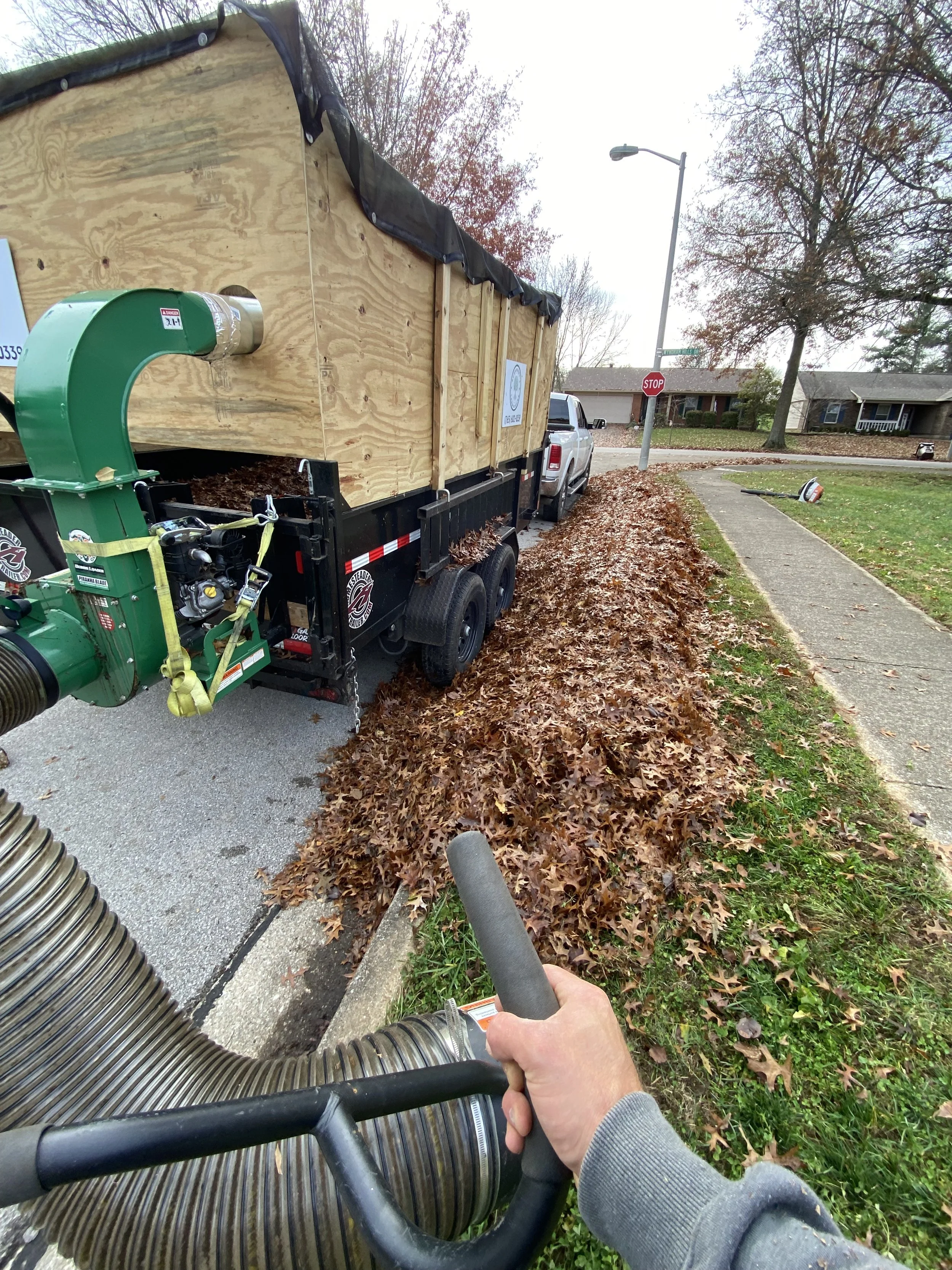 Leaf Removal in Lexington, Kentucky