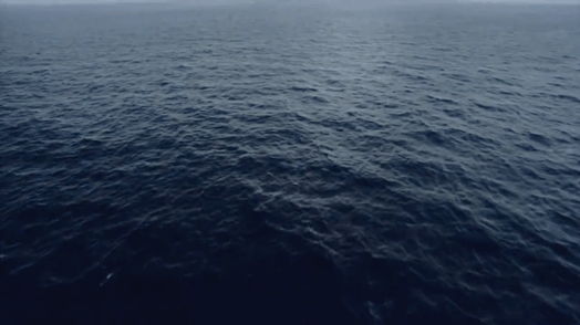 Conservation International | The Ocean