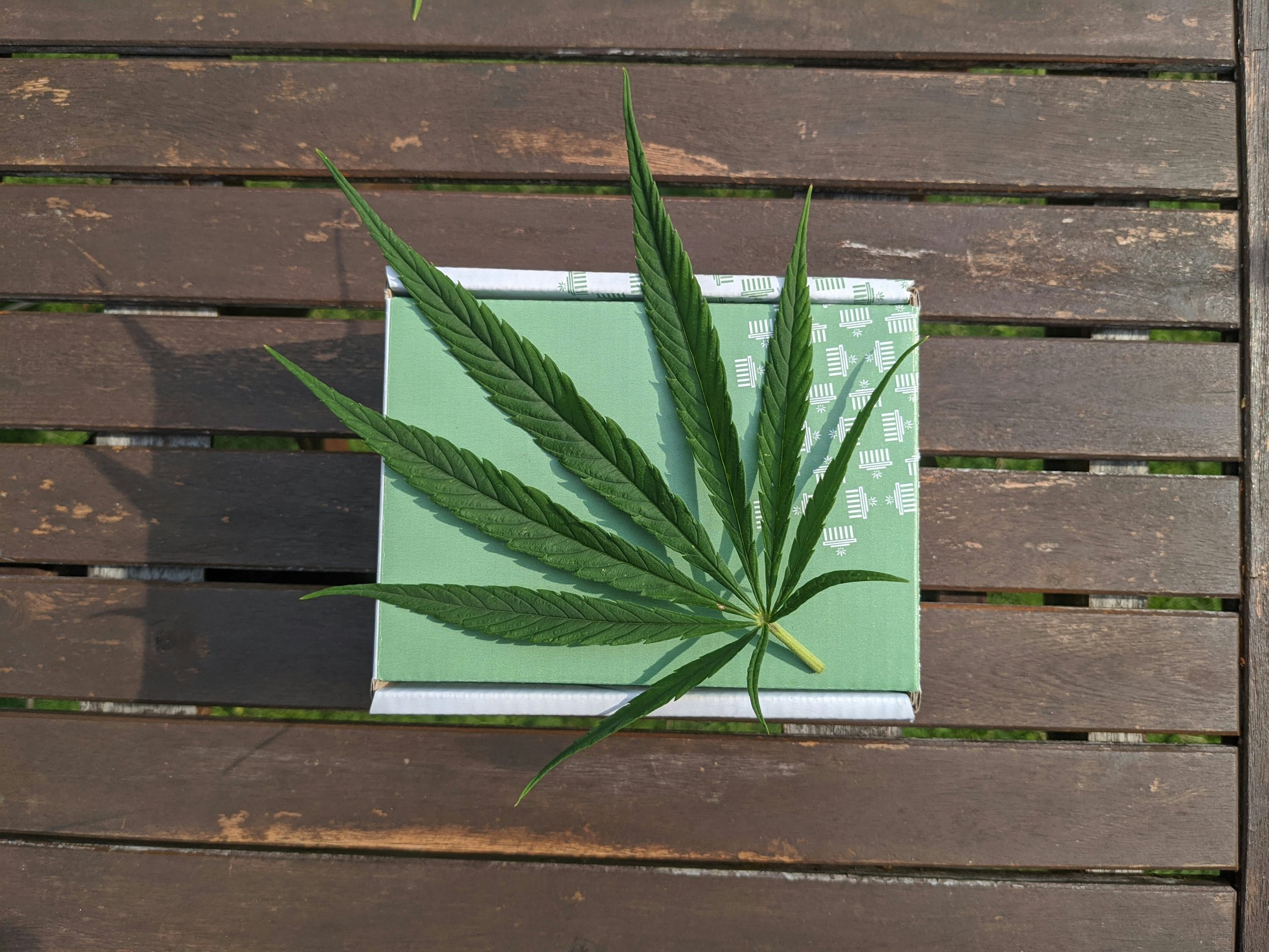 Cannabis leaf on a box atop a wooden table