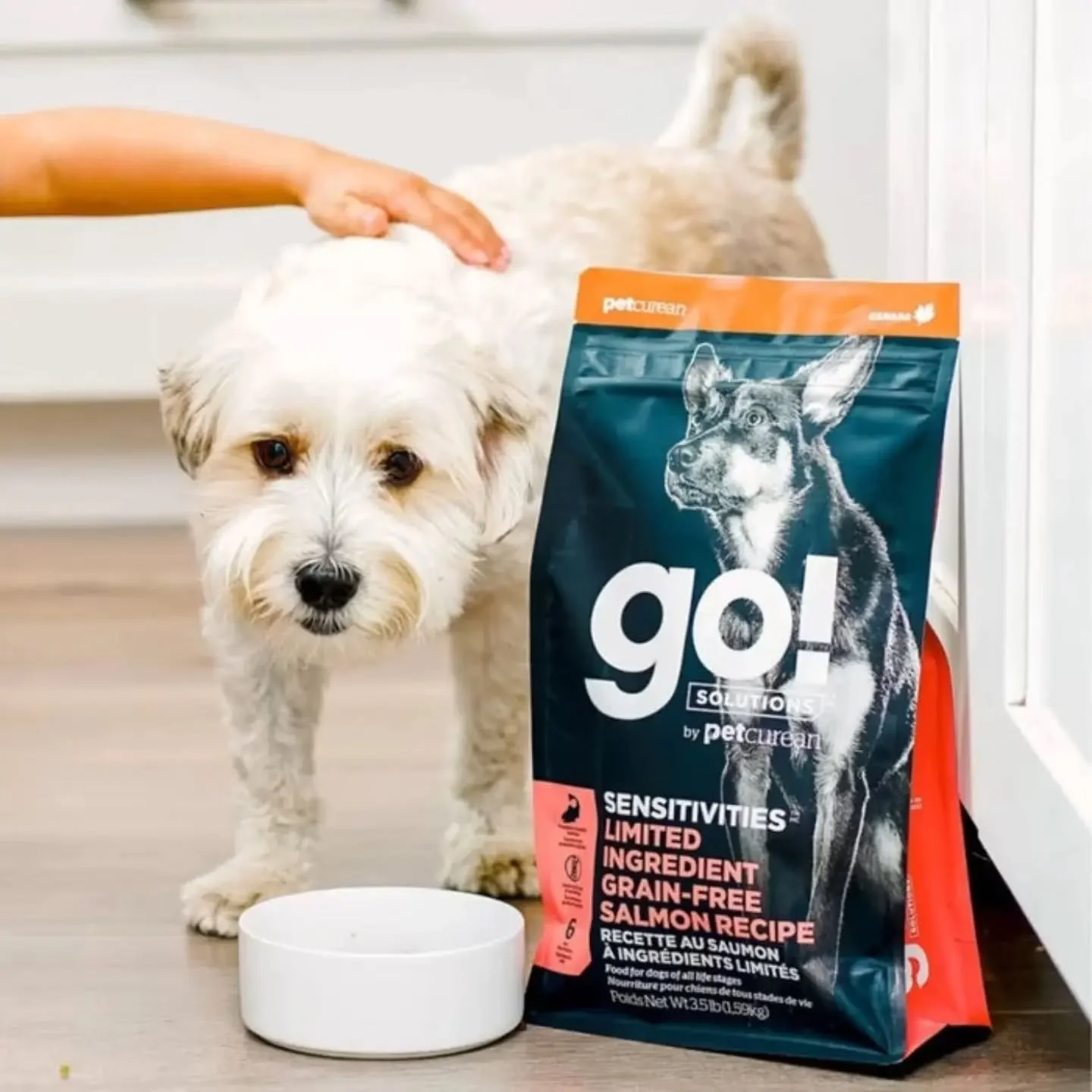 🐾 Nutrition that&rsquo;s made to make a difference! 🐾

Meet GO! SOLUTIONS &mdash; premium dog and cat food created by pet nutrition experts to help support your pet&rsquo;s unique nutritional needs. From picky eaters and sensitive stomachs to healt