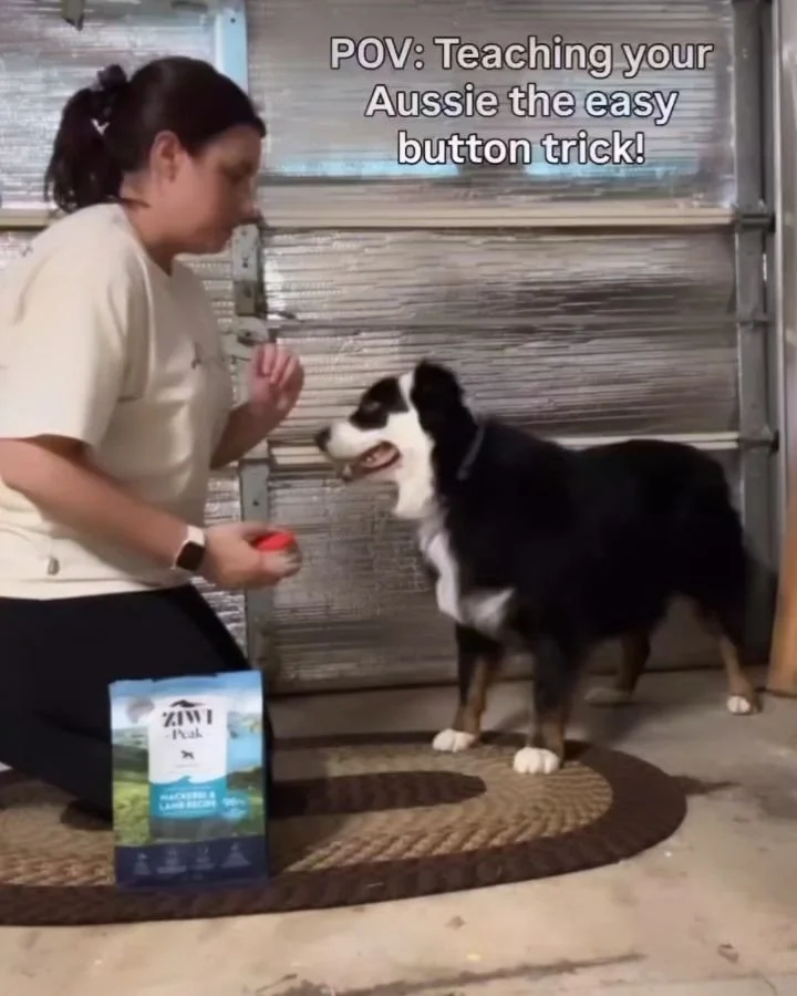 Give your pet a reward that's as nutritious as it is delicious. 🐾✨

Did you know that ZIWI Peak can be used as a complete meal, a meal topper, and a high-value training treat? Made with up to 96% ethically sourced meat, organs, seafood, and bone fro