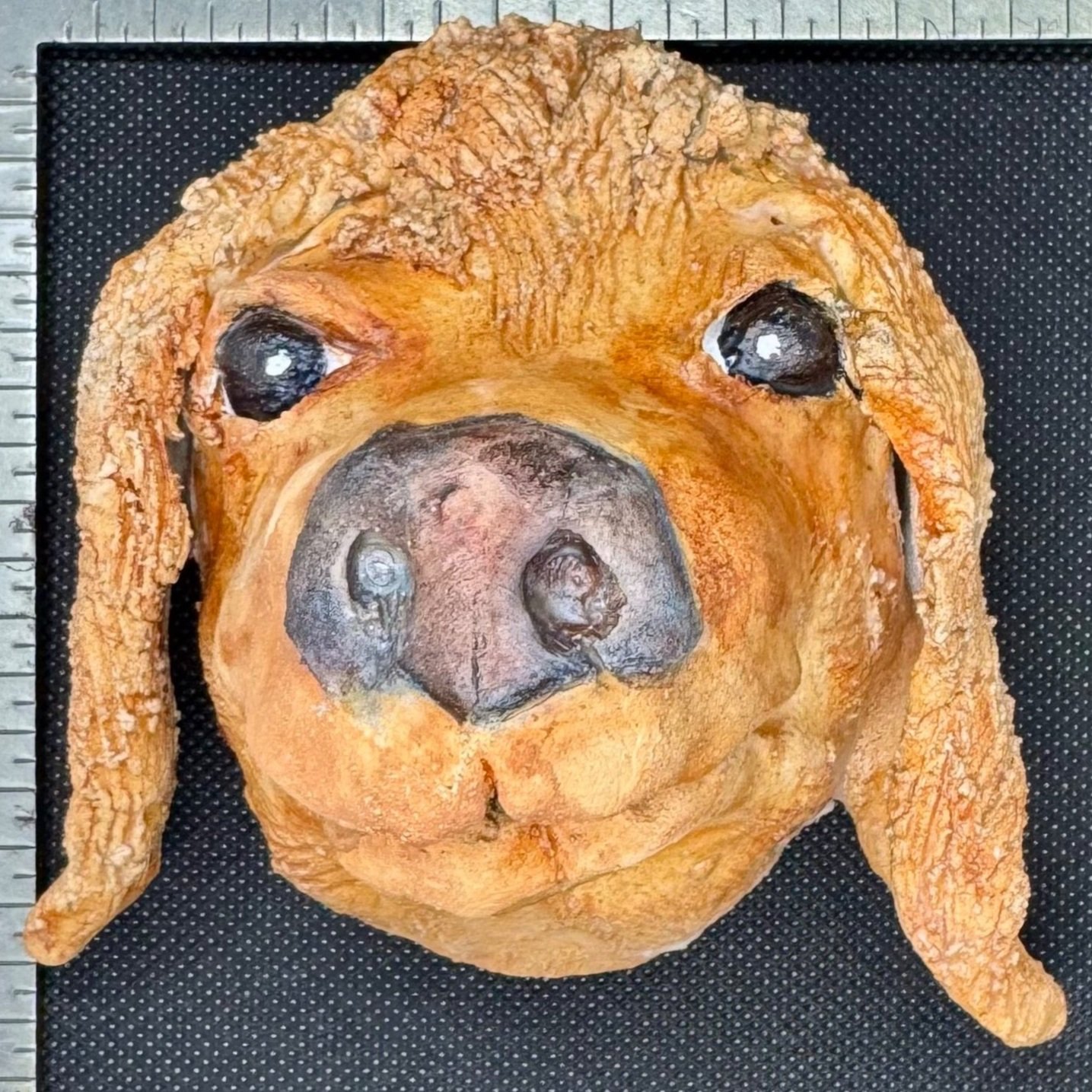 Curly Headed Dog