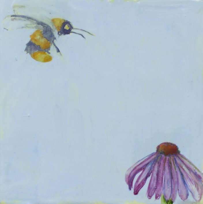 bee and coneflower.jpg