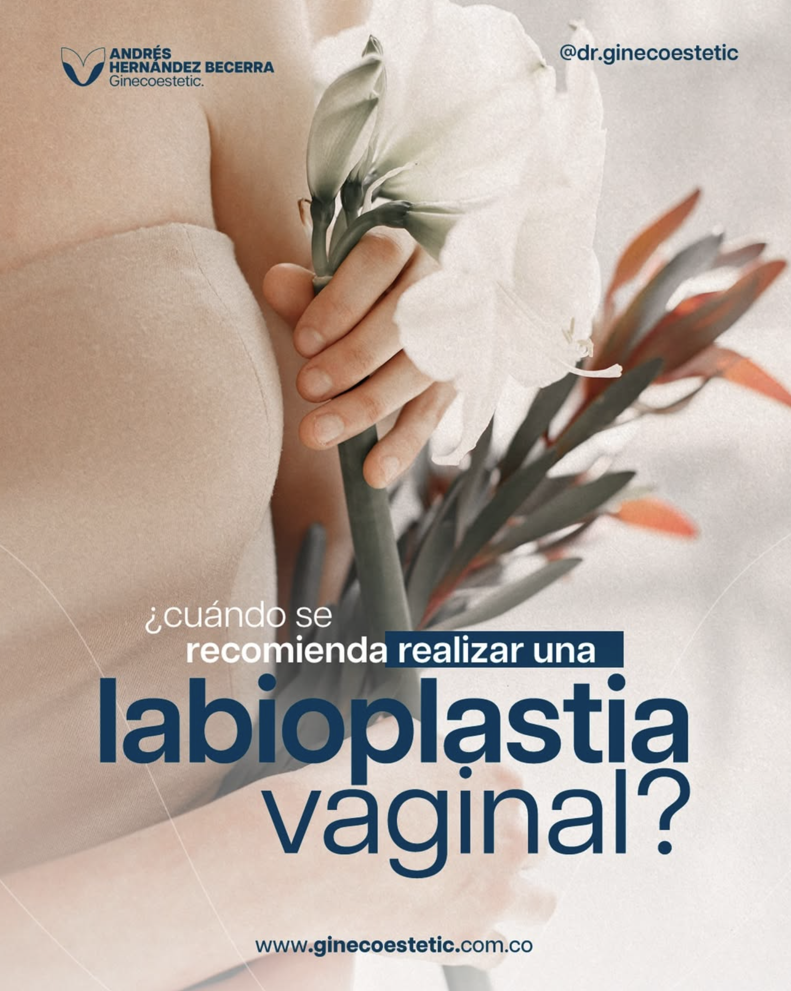 ¿Cuándo se recomienda realizarse una labioplastia vaginal?