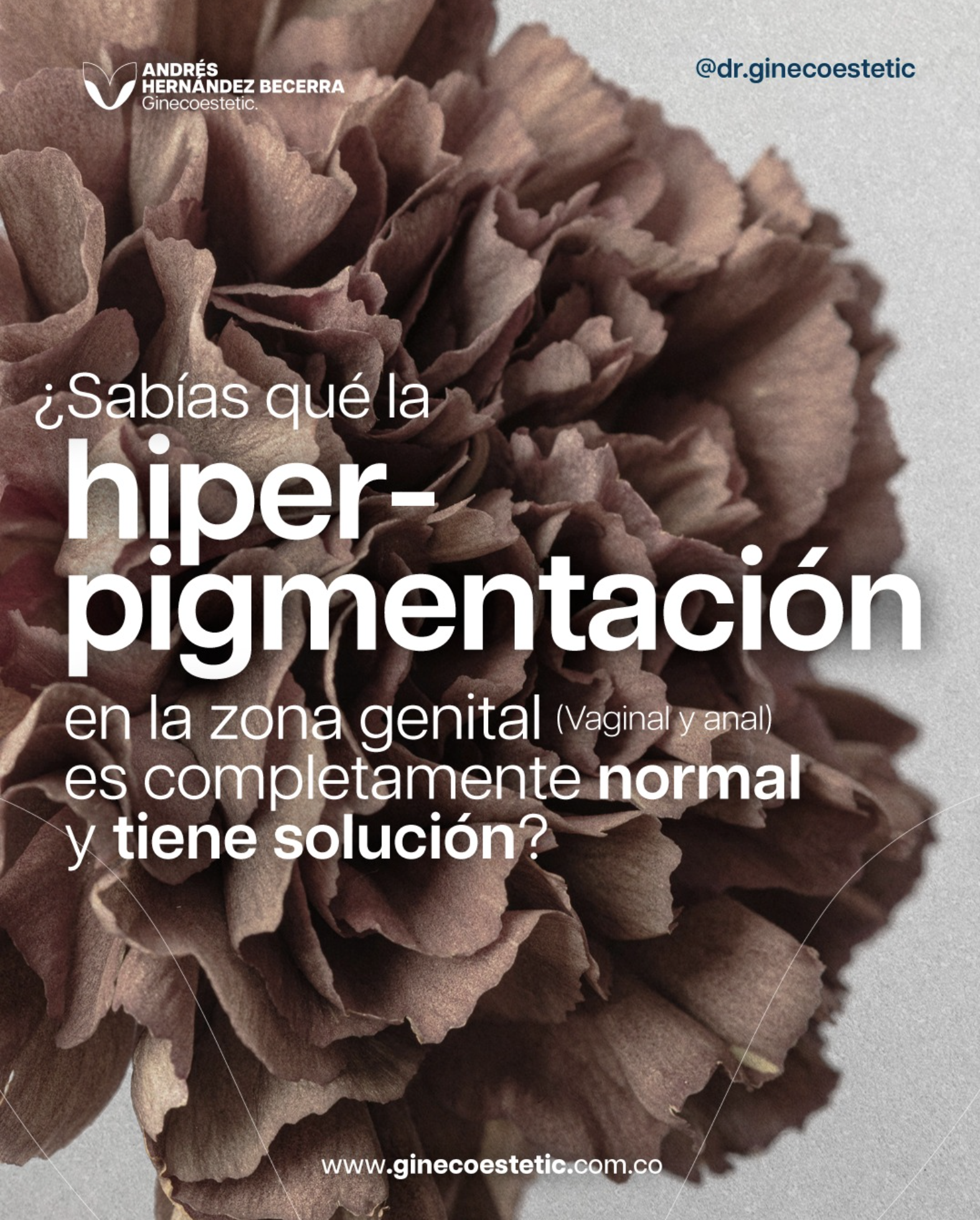 La Medicina Estética Íntima: Despigmentación Vaginal. Todo lo que necesitas saber antes de hacerte el tratamiento